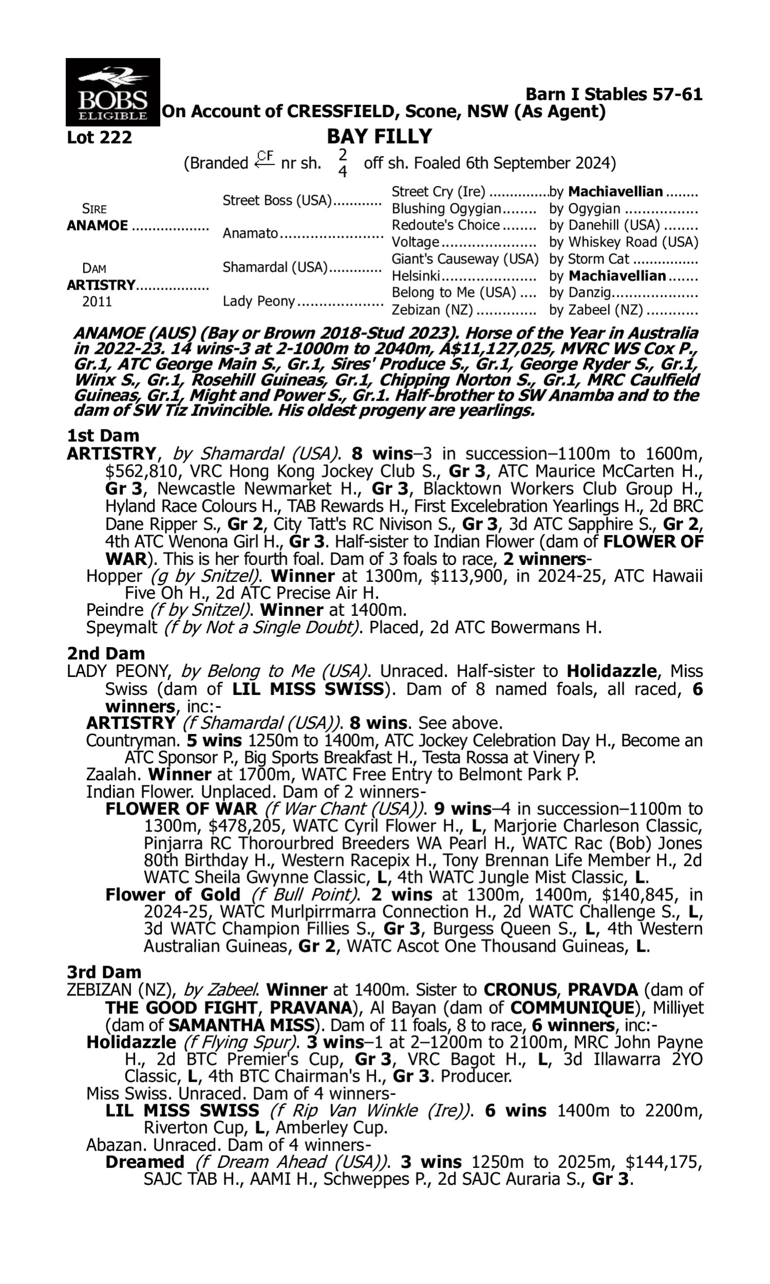 Pedigree for Lot 222 Anamoe - Artistry
