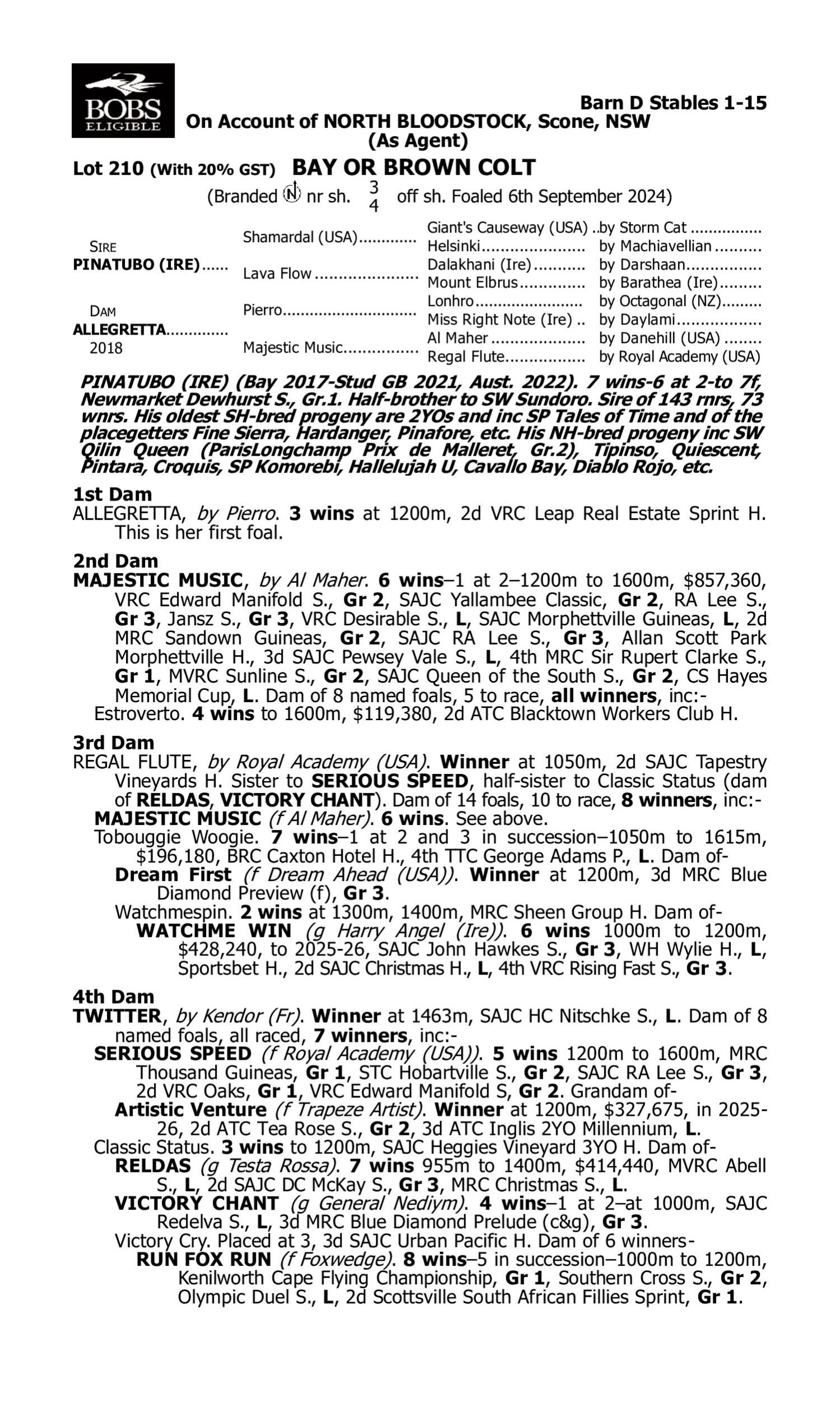 Pedigree for Lot 210 Pinatubo (IRE) - Allegretta