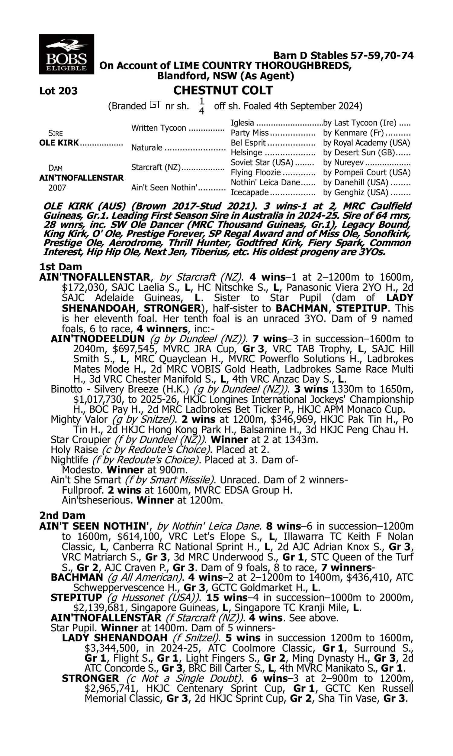 Pedigree for Lot 203 Ole Kirk - Ain'tnofallenstar