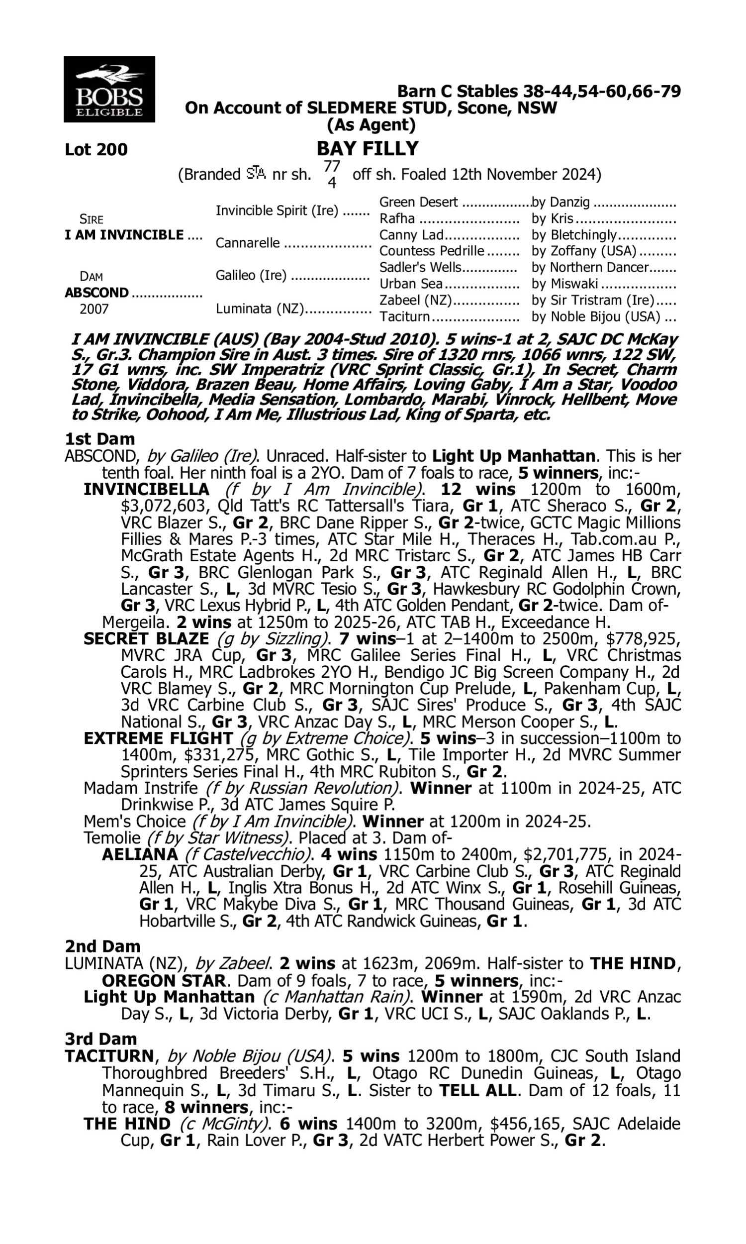 Pedigree for Lot 200 I Am Invincible - Abscond
