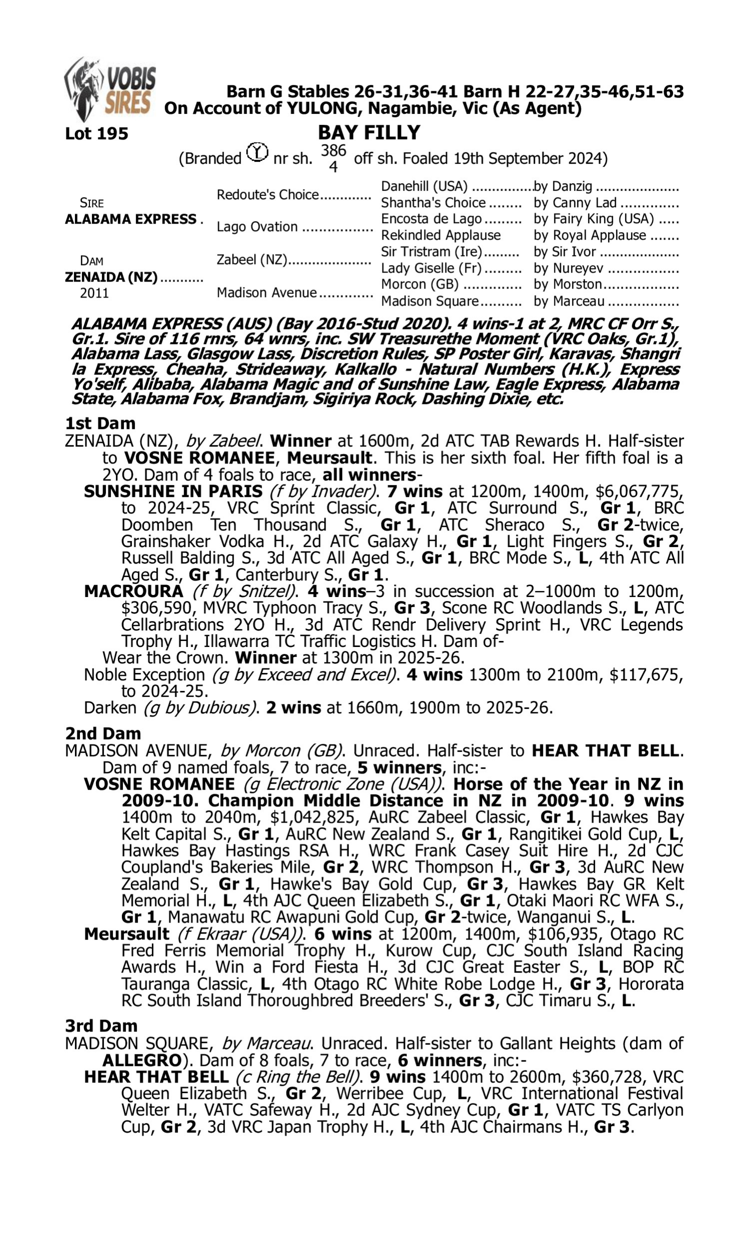 Pedigree for Lot 195 Alabama Express - Zenaida (NZ)