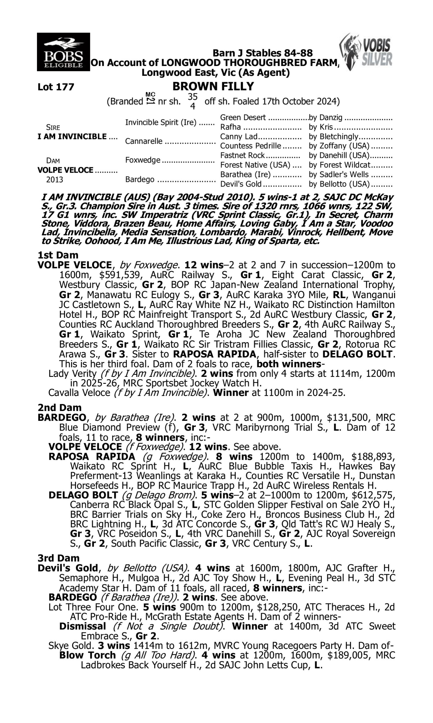 Pedigree for Lot 177 I Am Invincible - Volpe Veloce