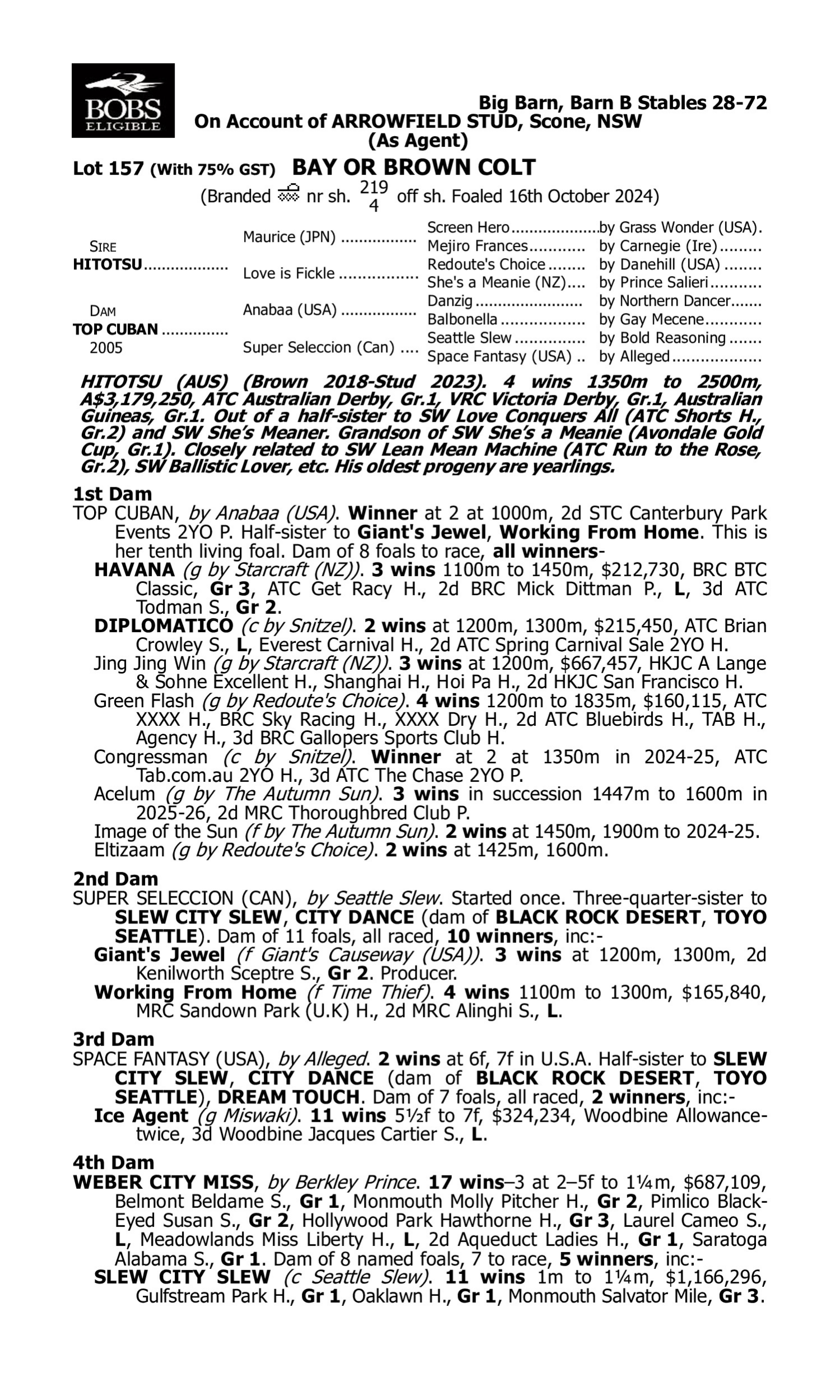 Pedigree for Lot 157 Hitotsu - Top Cuban
