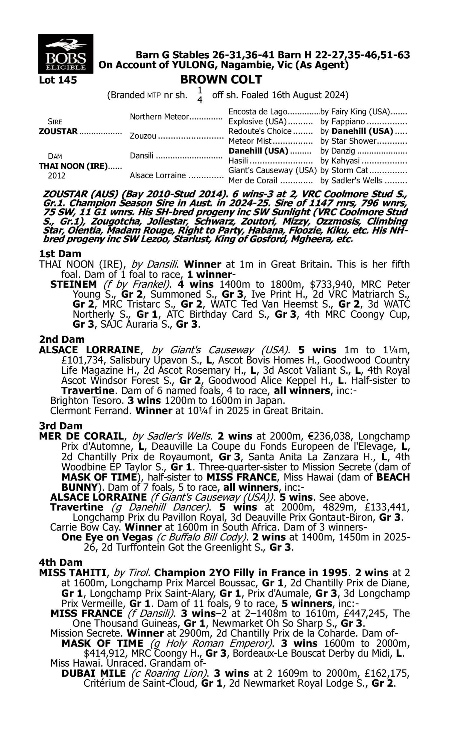 Pedigree for Lot 145 Zoustar - Thai Noon (IRE)