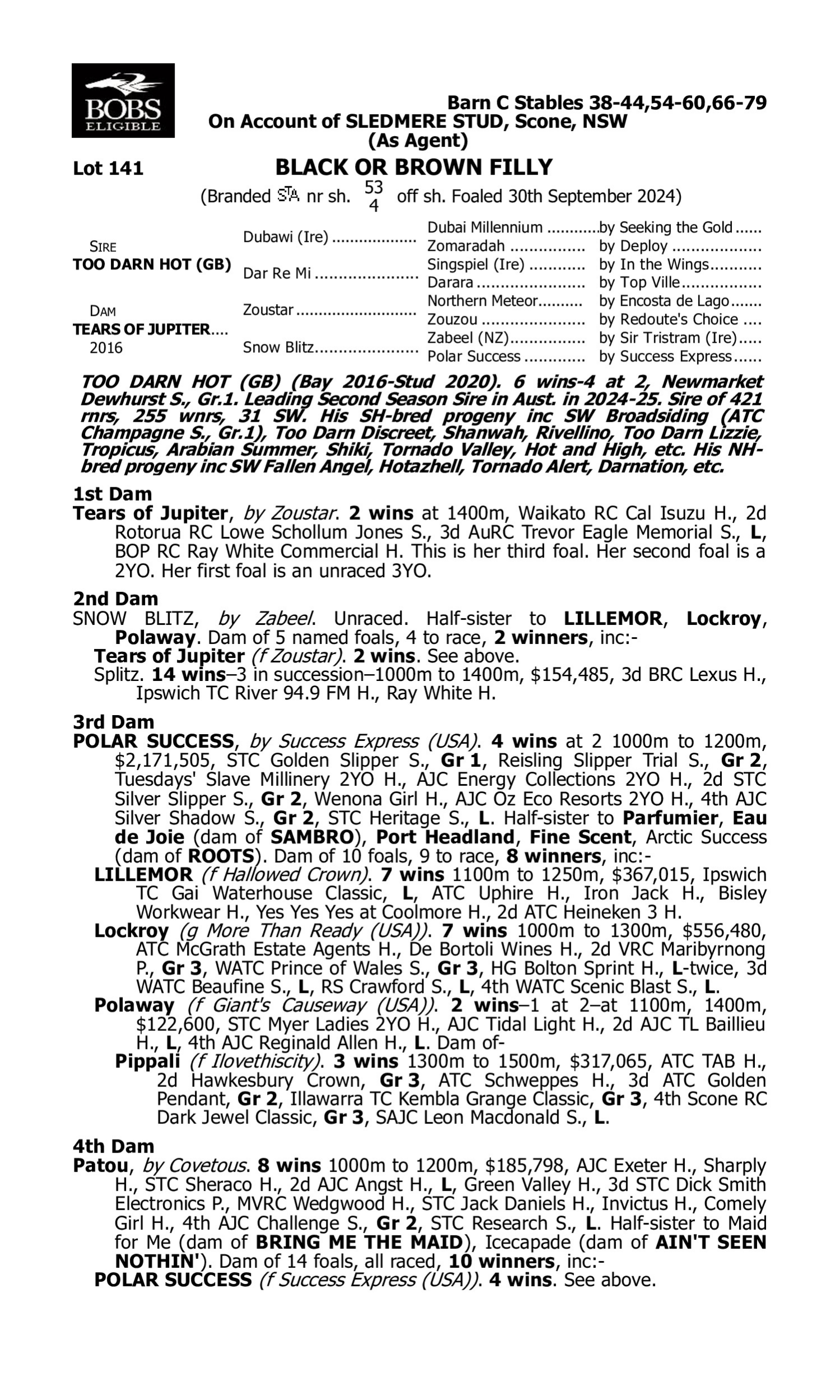 Pedigree for Lot 141 Too Darn Hot (GB) - Tears of Jupiter