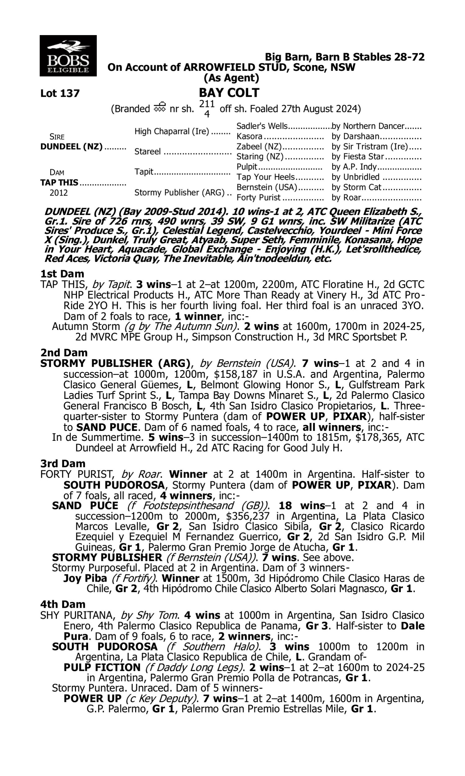 Pedigree for Lot 137 Dundeel (NZ) - Tap This