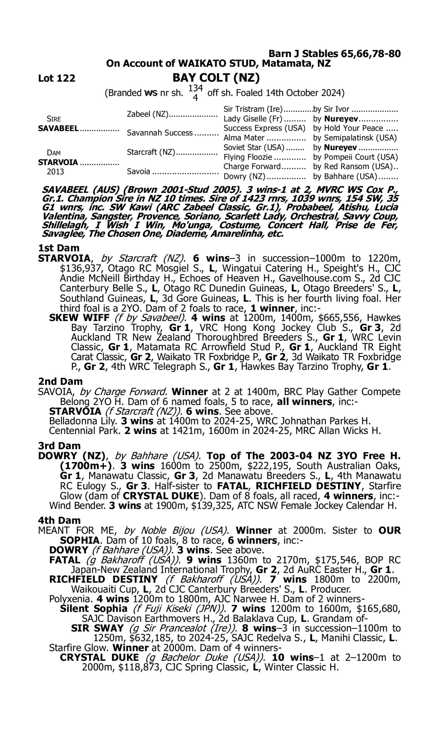 Pedigree for Lot 122 Savabeel - Starvoia