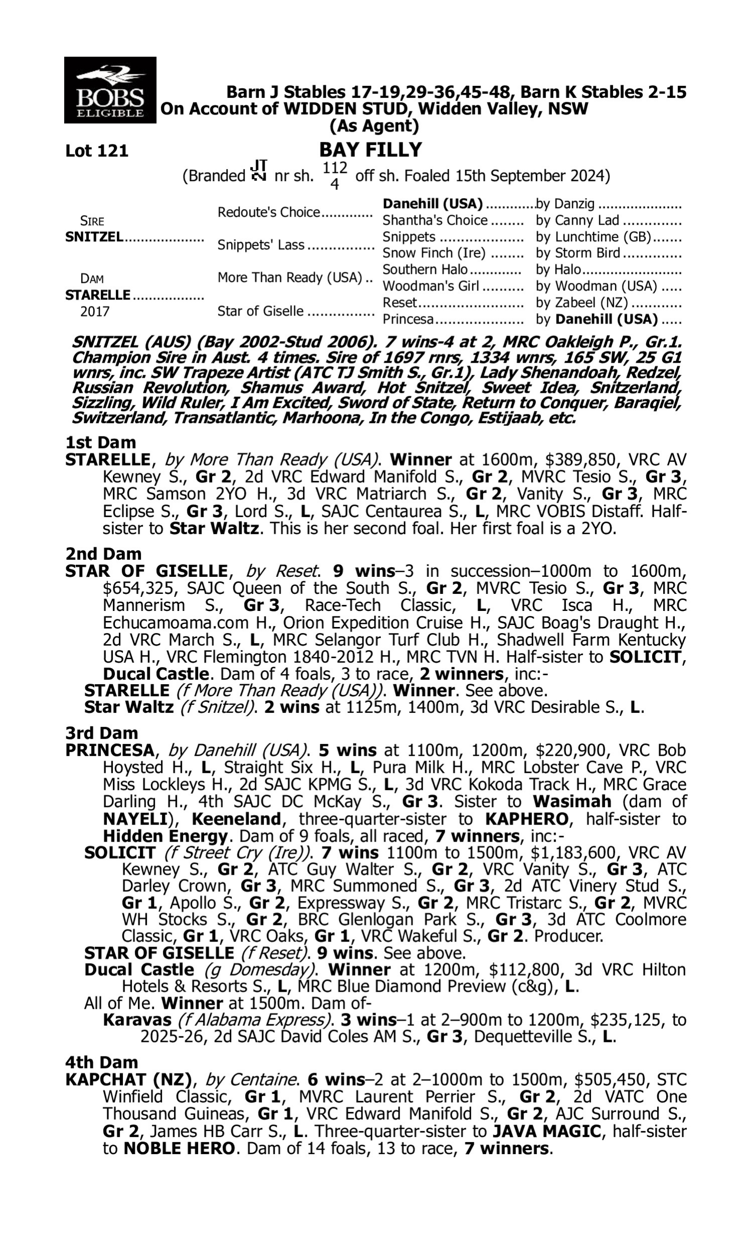 Pedigree for Lot 121 Snitzel - Starelle