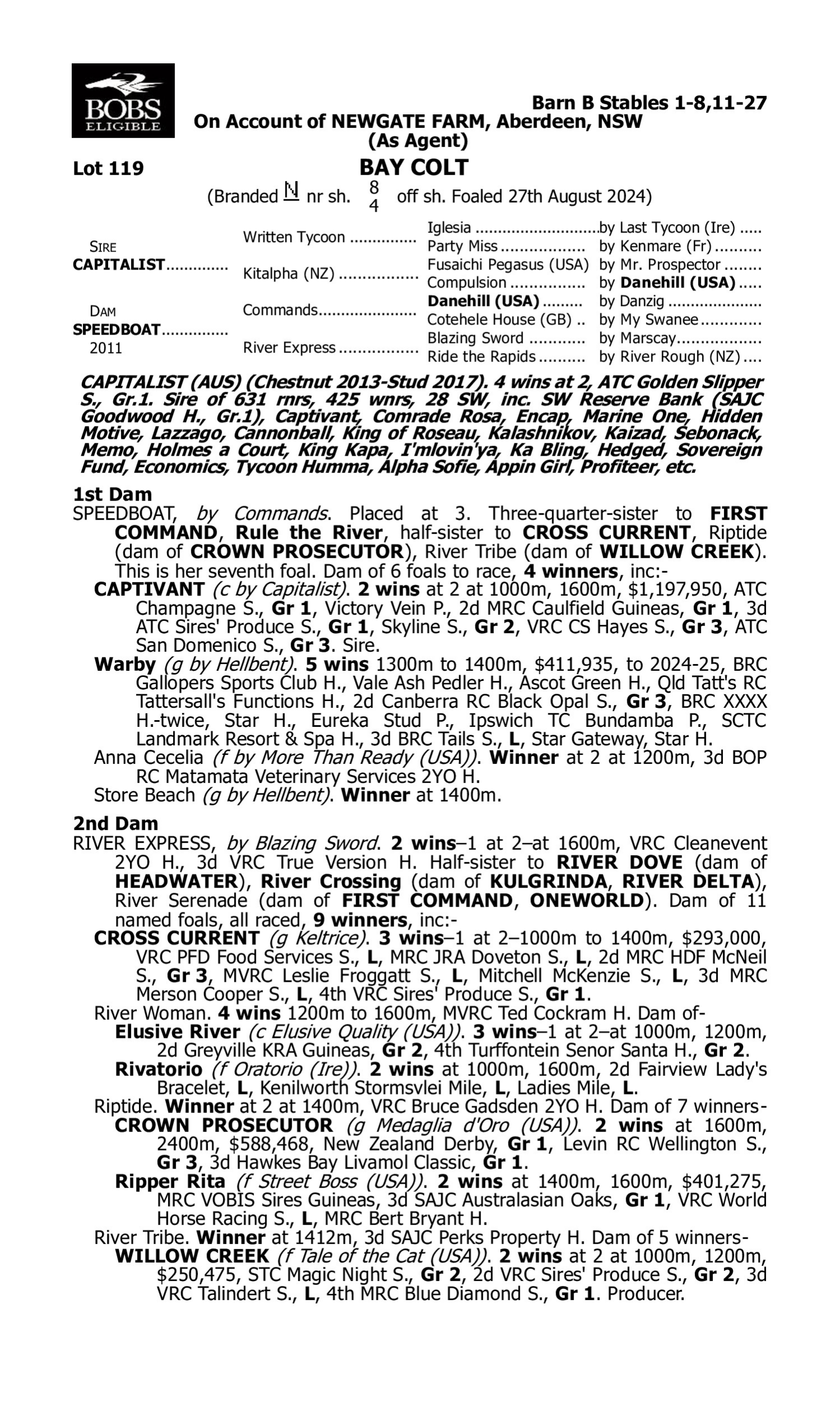 Pedigree for Lot 119 Capitalist - Speedboat