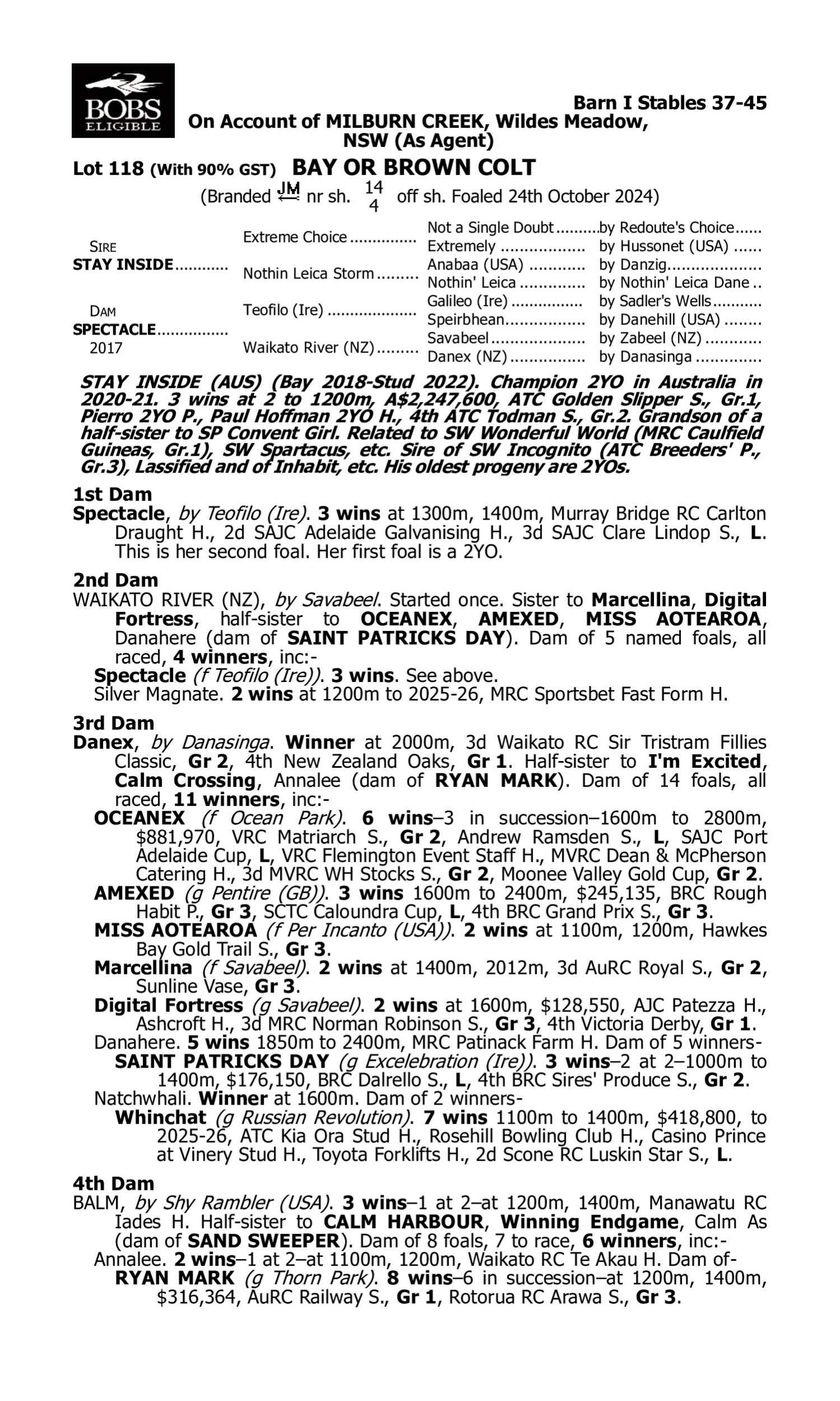 Pedigree for Lot 118 Stay Inside - Spectacle