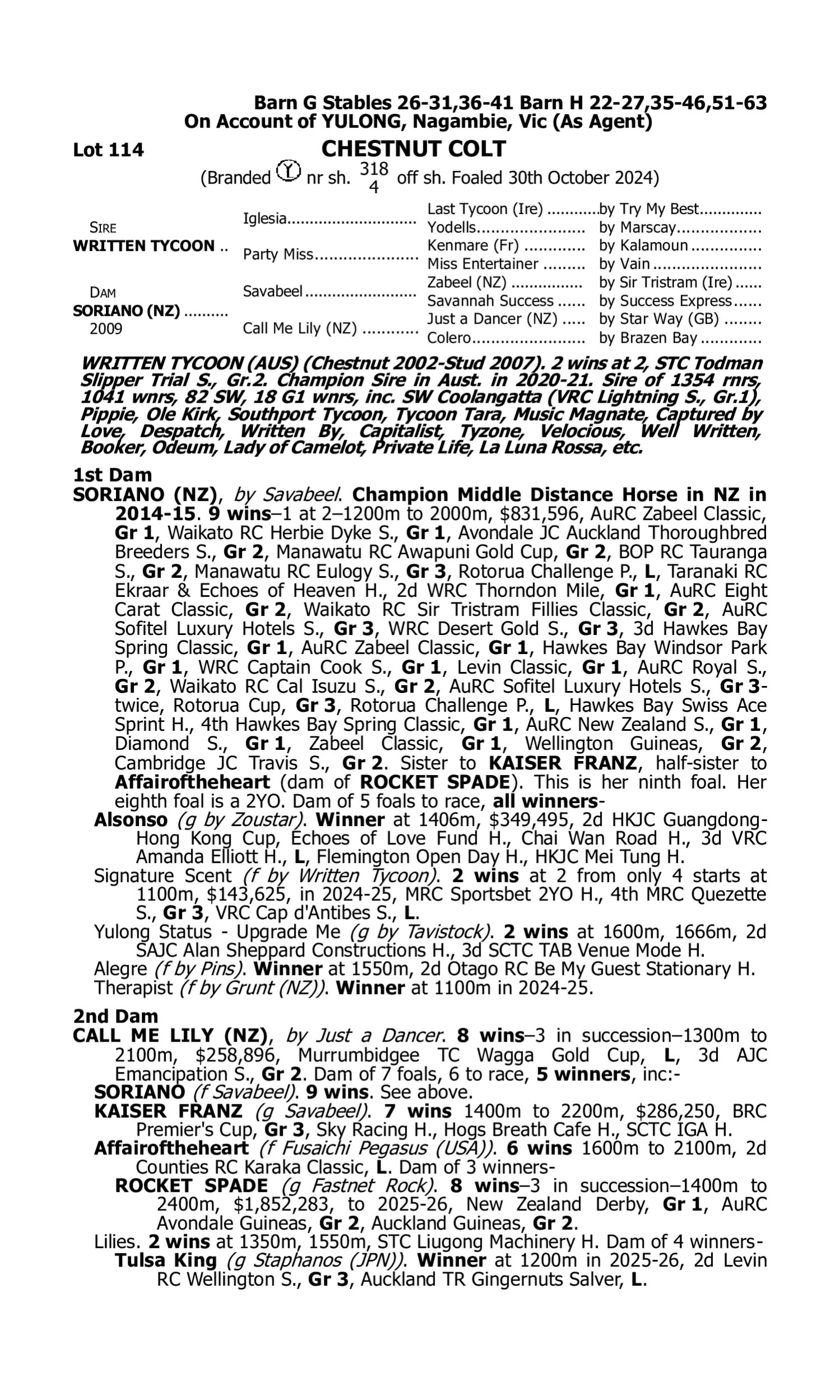 Pedigree for Lot 114 Written Tycoon - Soriano (NZ)