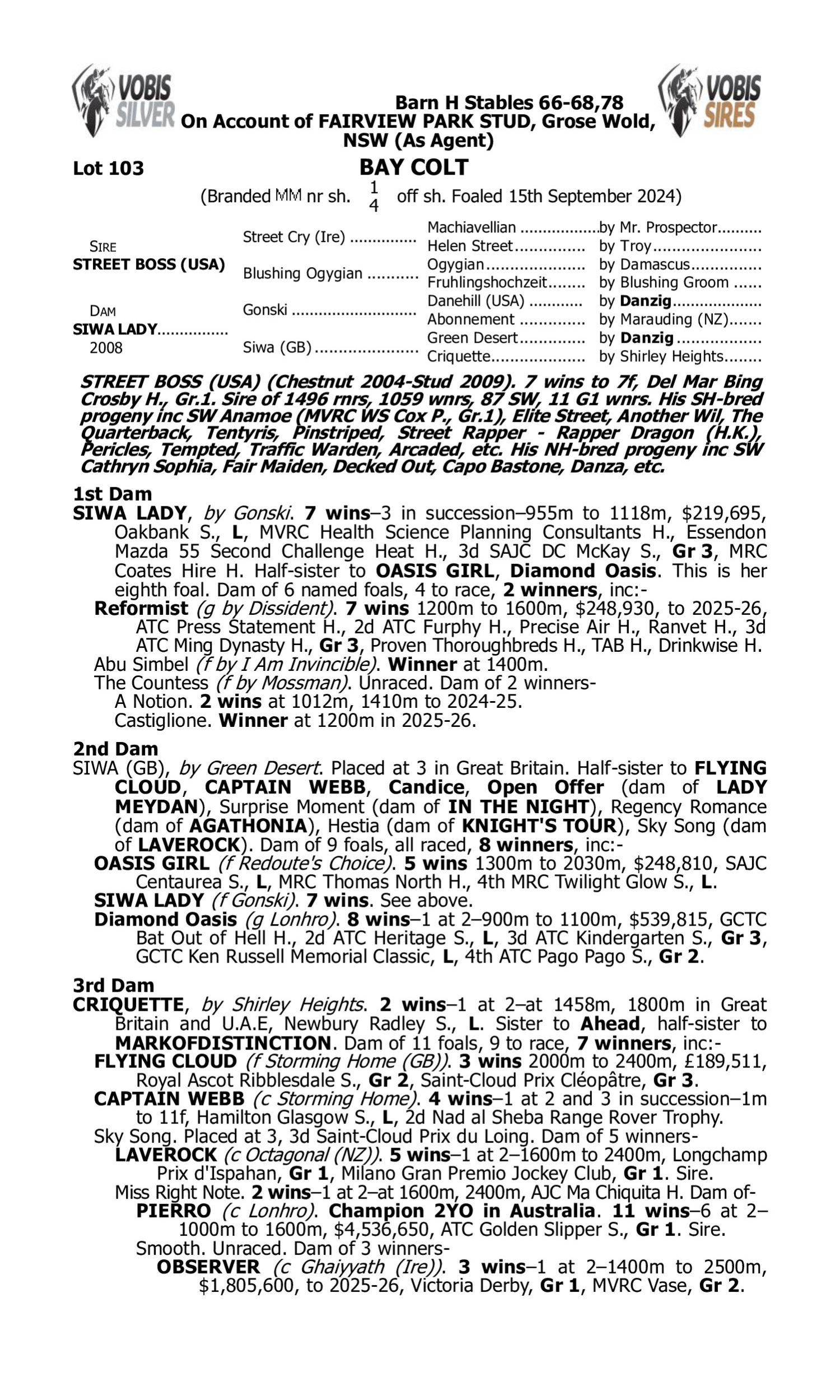 Pedigree for Lot 103 Street Boss (USA) - Siwa Lady