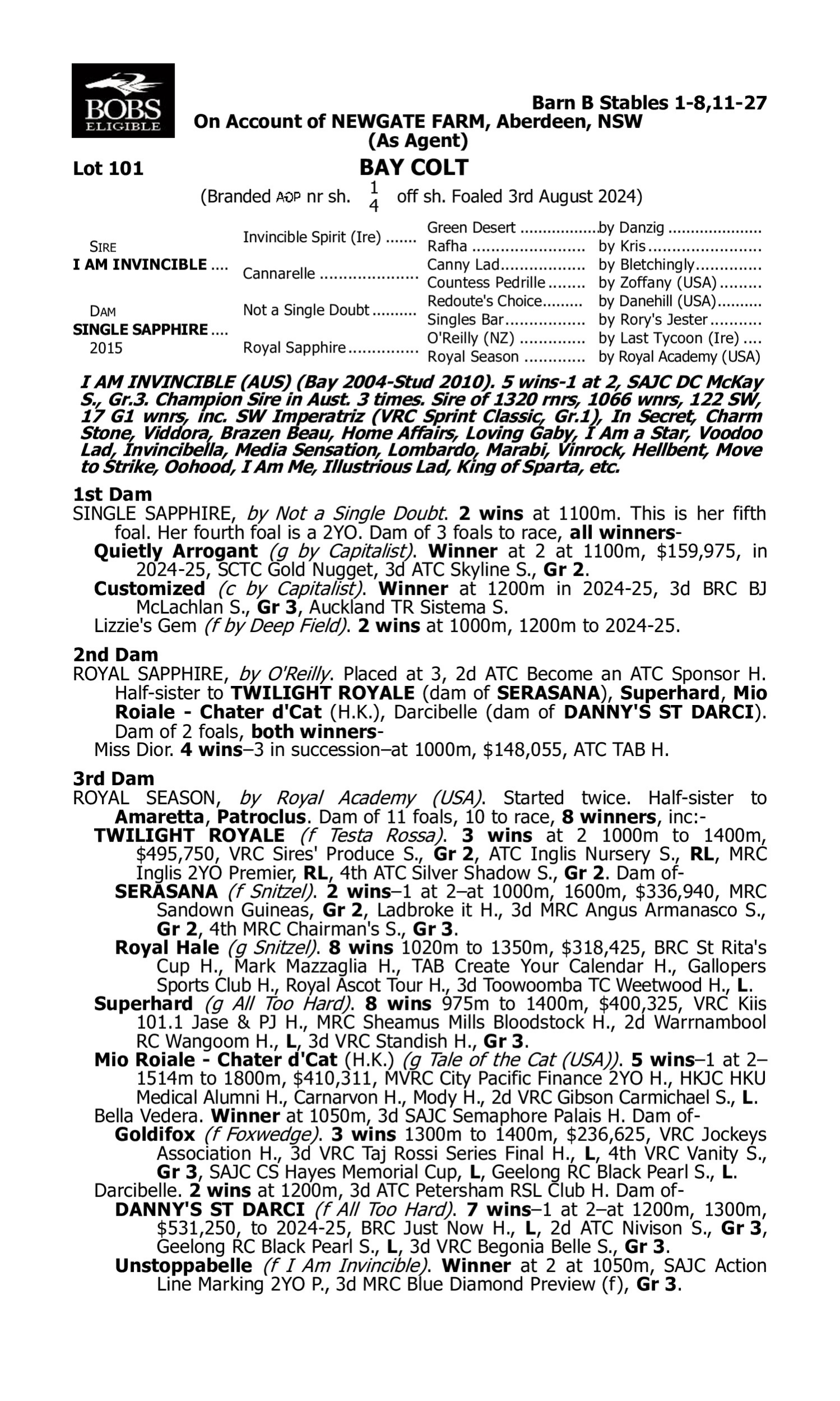 Pedigree for Lot 101 I Am Invincible - Single Sapphire