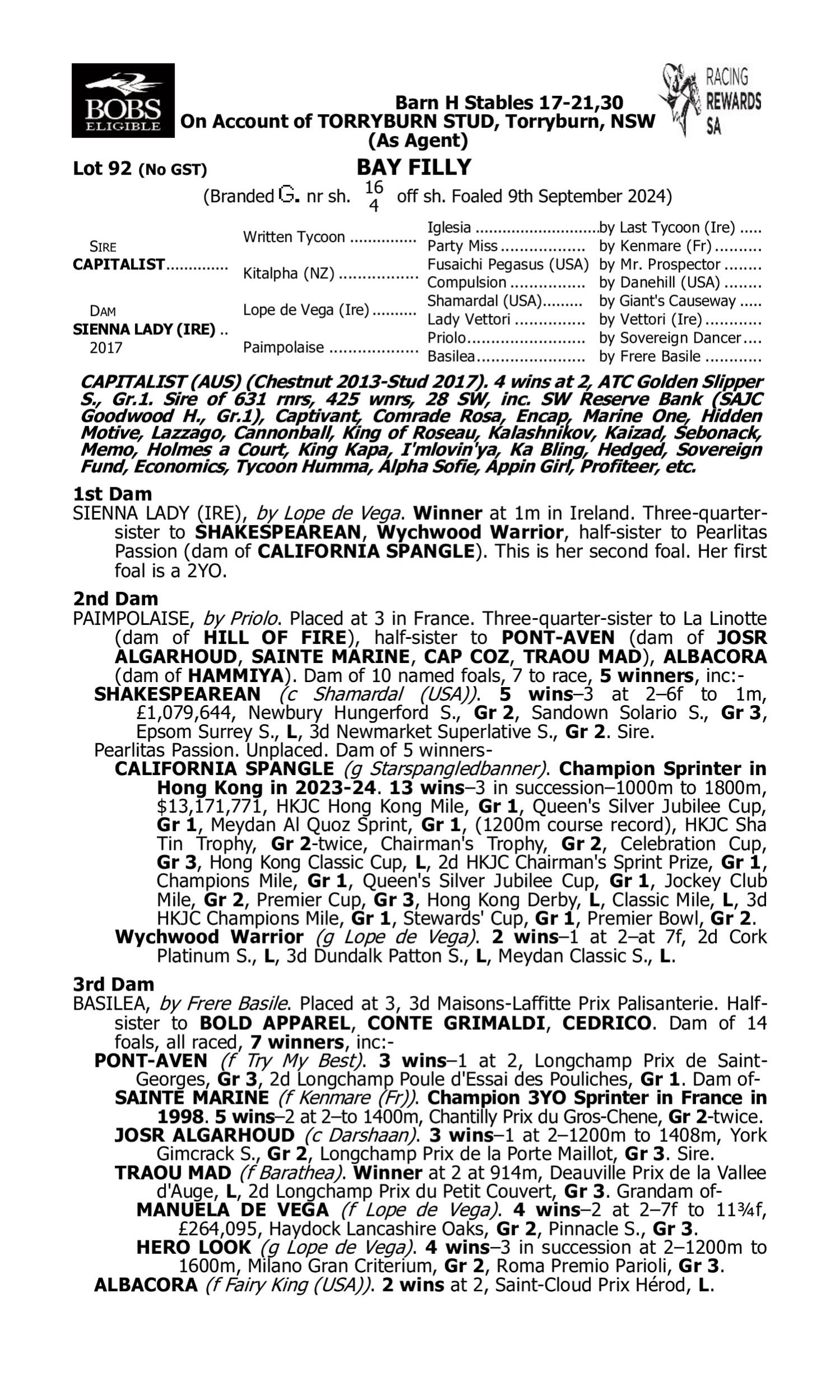 Pedigree for Lot 92 Capitalist - Sienna Lady (IRE)