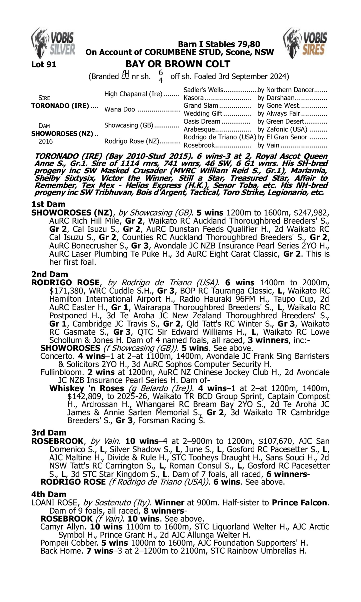Pedigree for Lot 91 Toronado (IRE) - Showoroses (NZ)