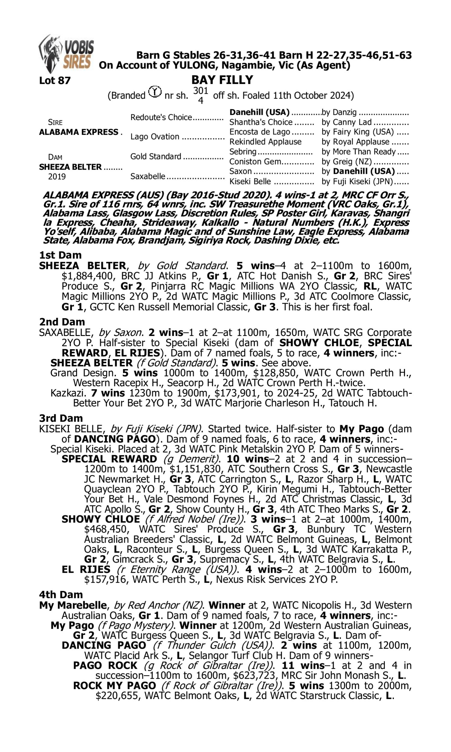 Pedigree for Lot 87 Alabama Express - Sheeza Belter