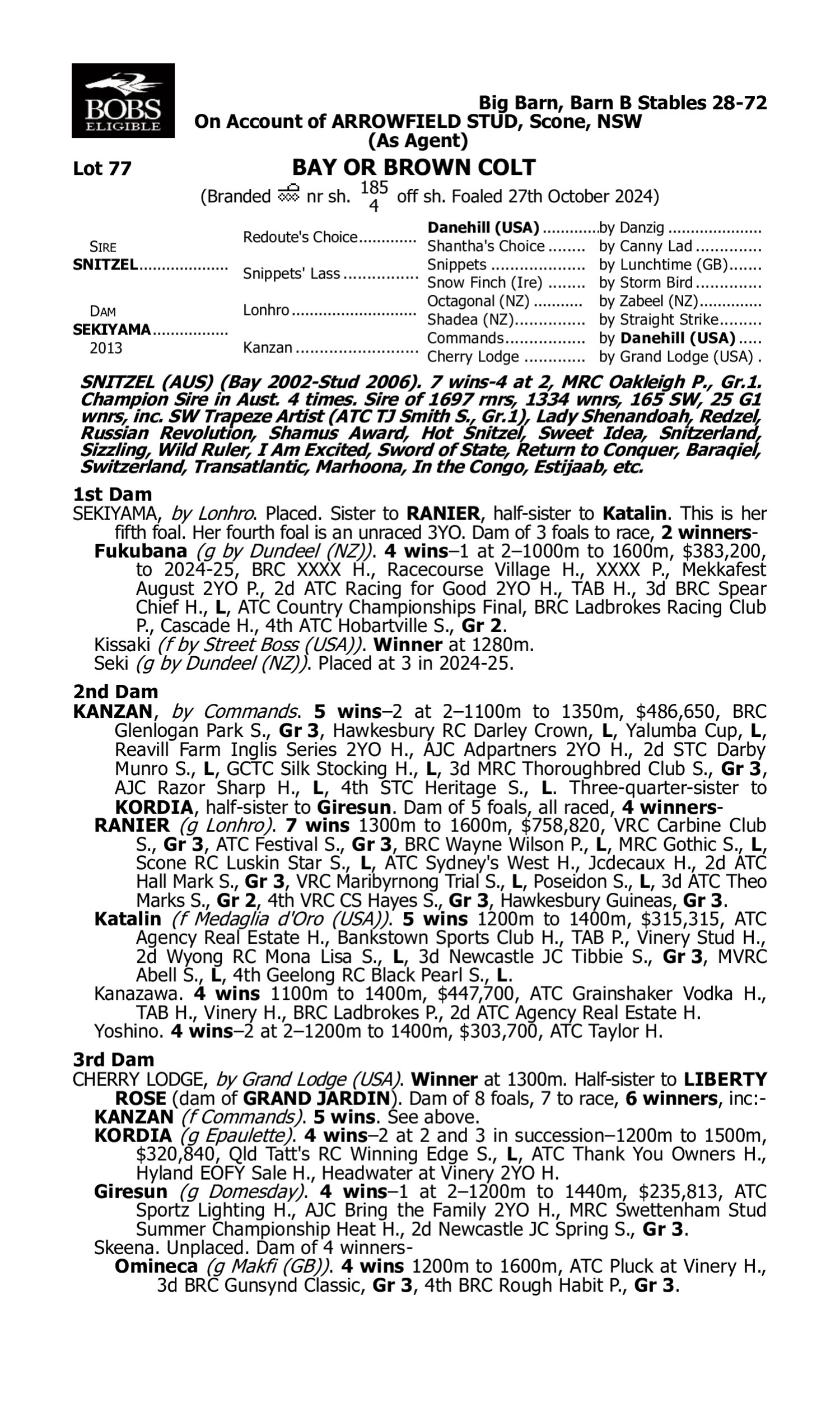 Pedigree for Lot 77 Snitzel - Sekiyama