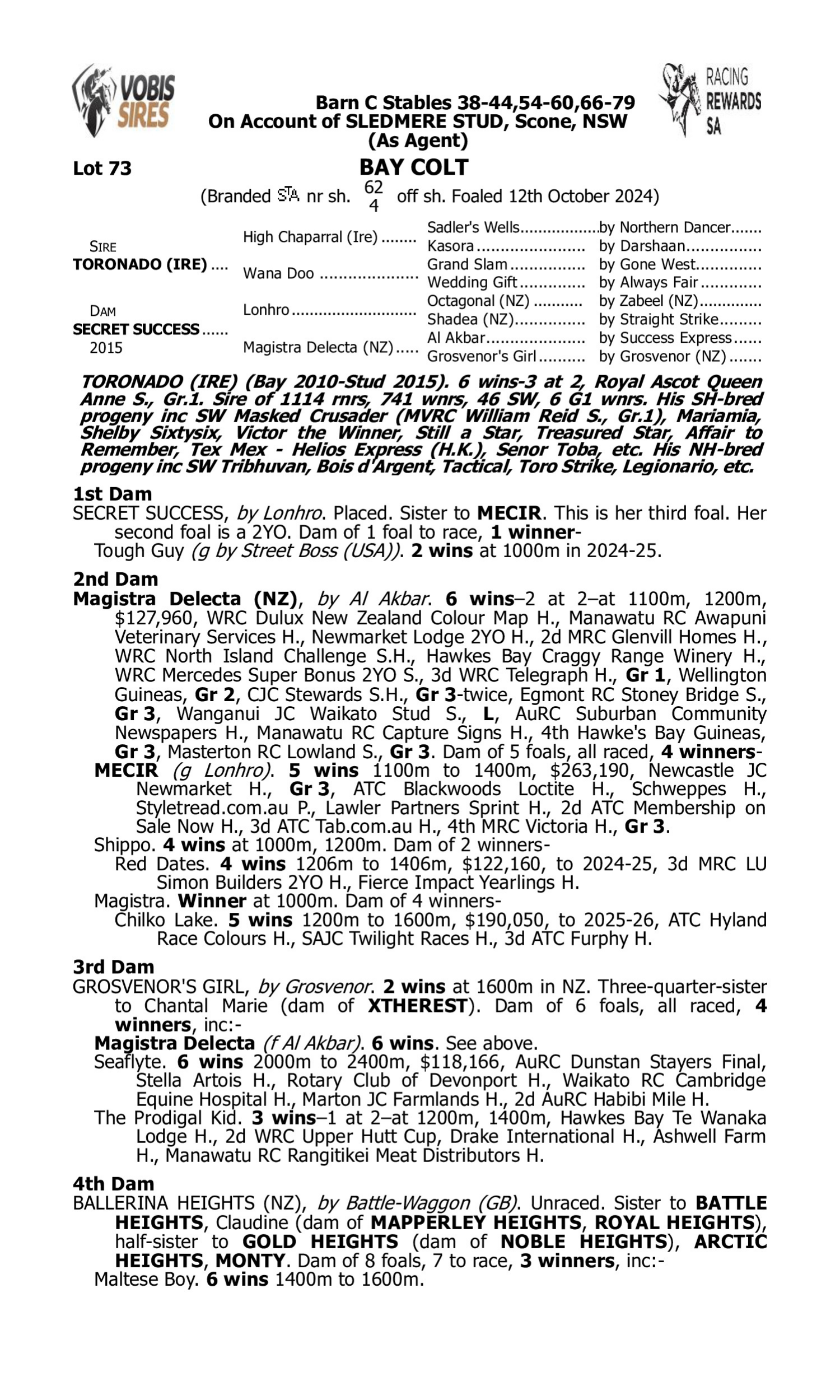 Pedigree for Lot 73 Toronado (IRE) - Secret Success