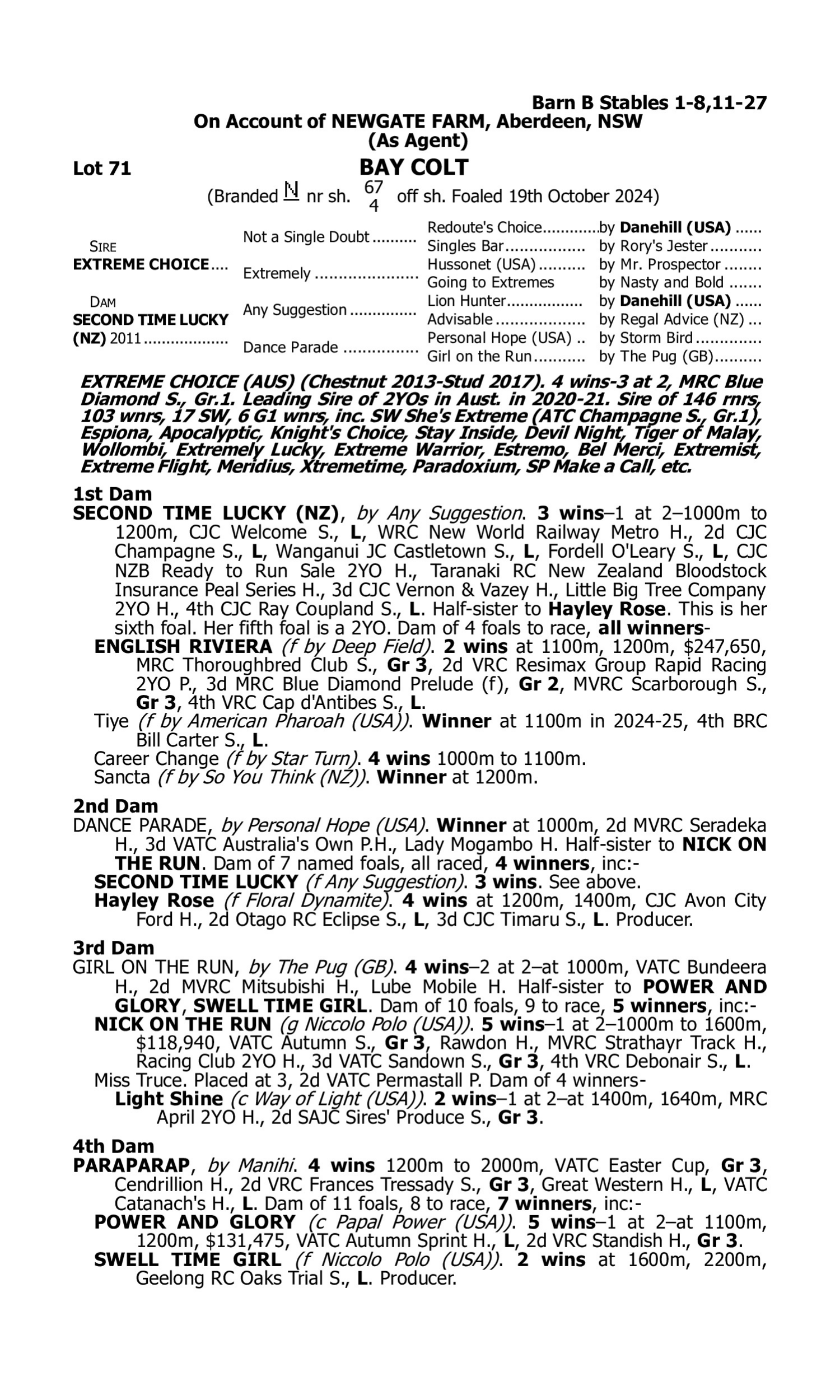 Pedigree for Lot 71 Extreme Choice - Second Time Lucky (NZ)