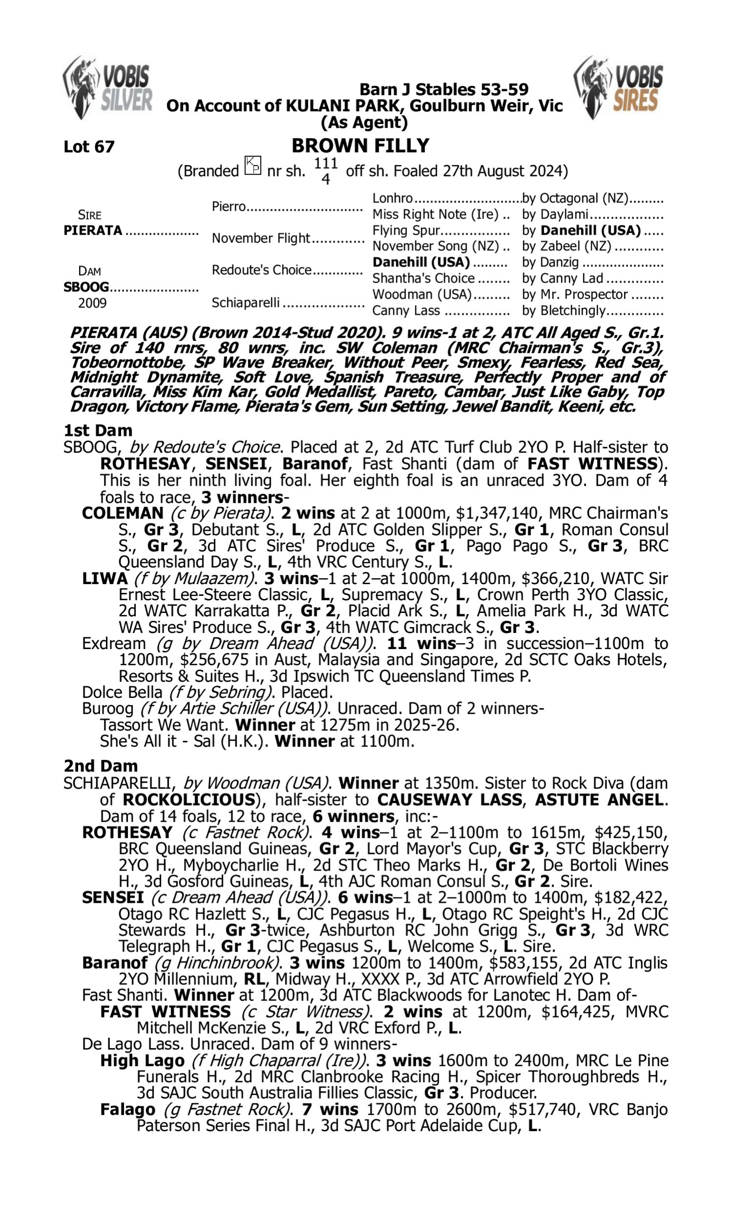 Pedigree for Lot 67 Pierata - Sboog