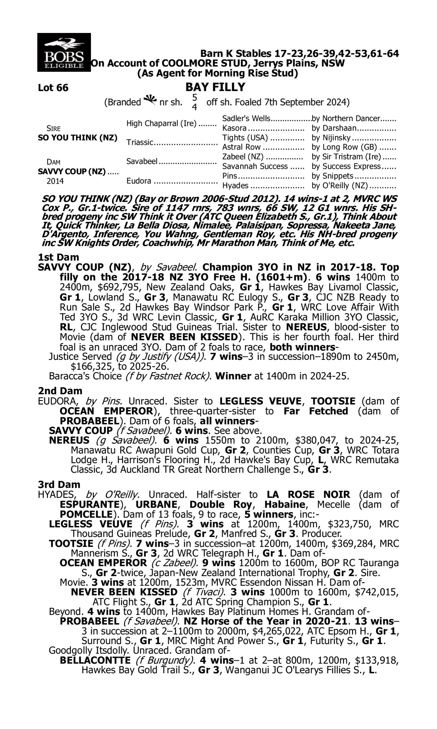 Pedigree for Lot 66 So You Think (NZ) - Savvy Coup (NZ)