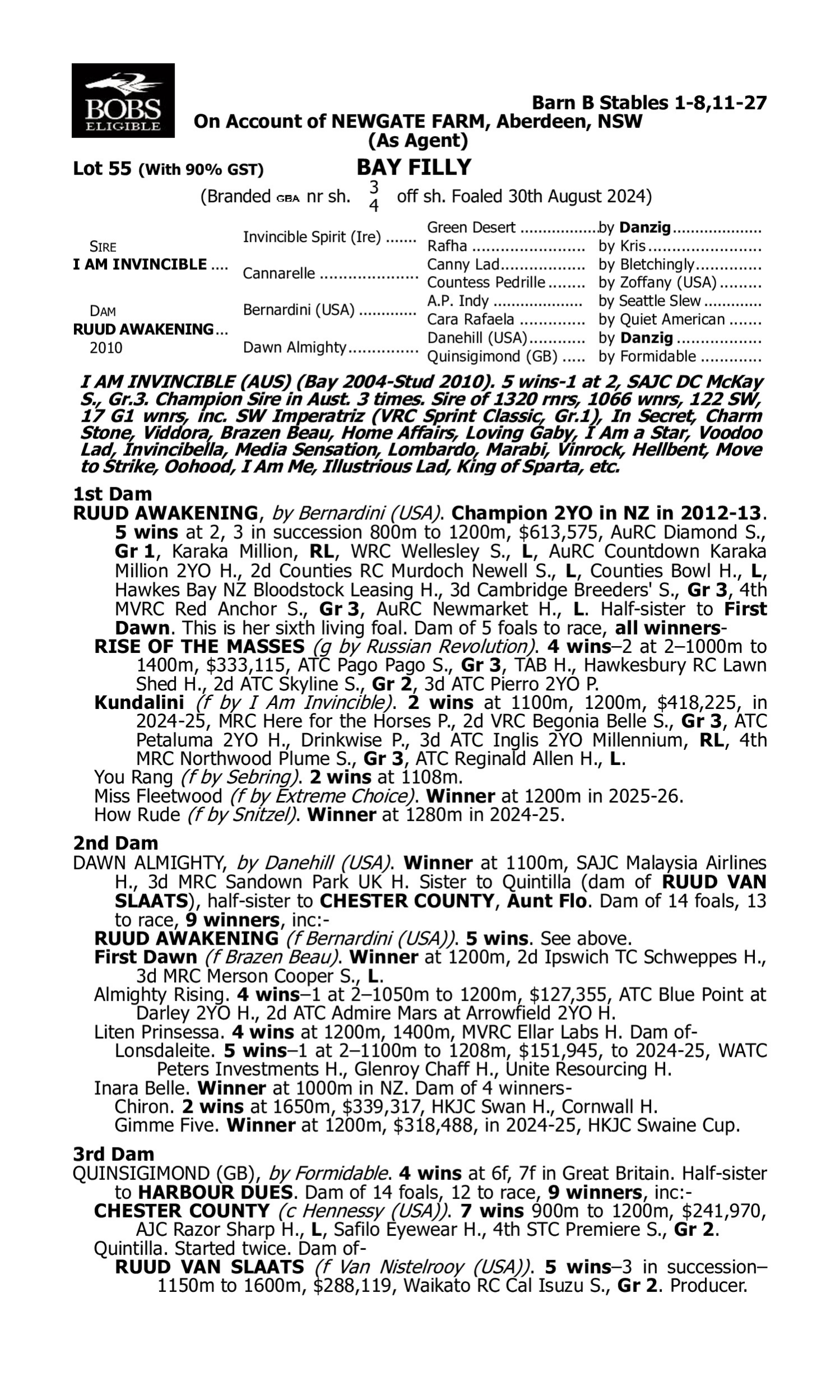 Pedigree for Lot 55 I am Invincible - Ruud Awakening