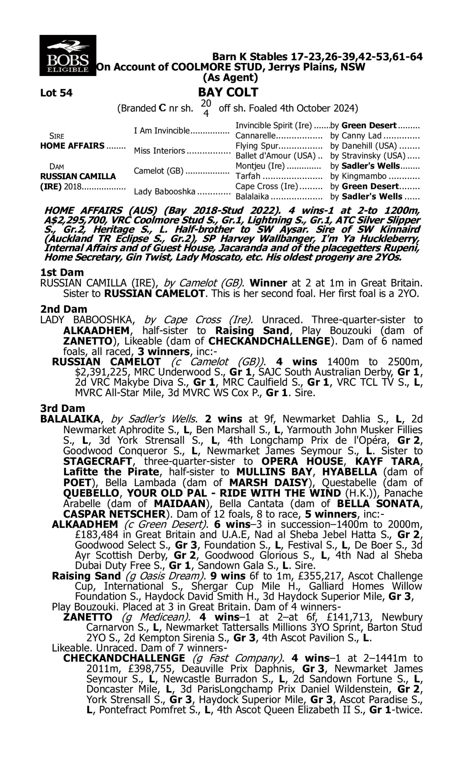 Pedigree for Lot 54 Home Affairs - Russian Camilla (IRE)