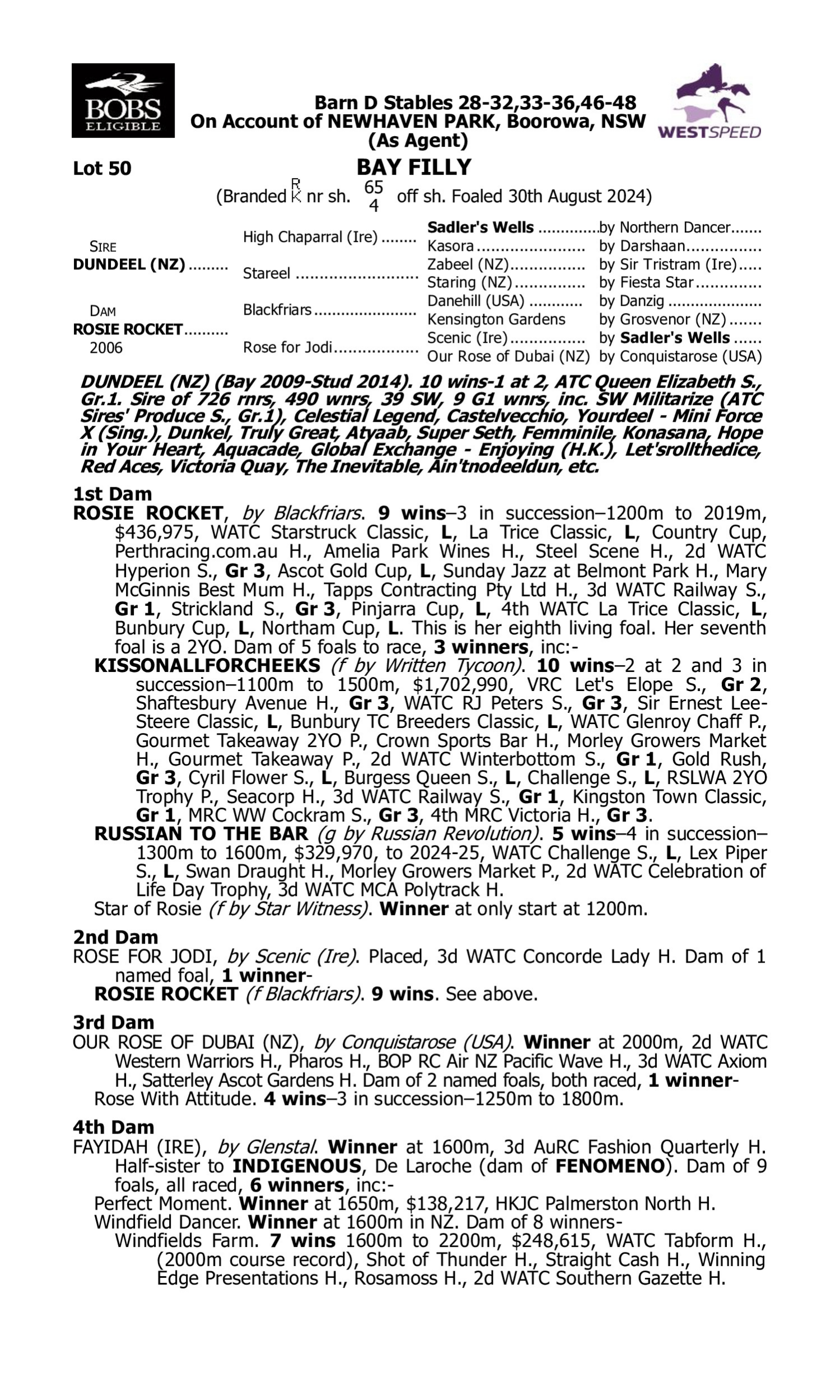 Pedigree for Lot 50 Dundeel (NZ) - Rosie Rocket