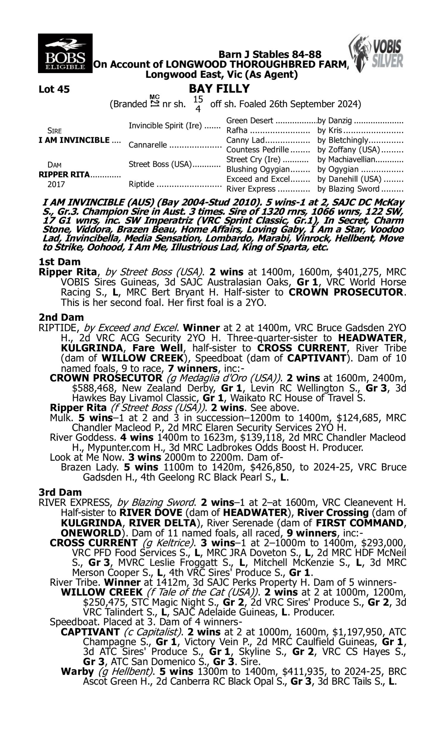 Pedigree for Lot 45 I Am Invincible - Ripper Rita