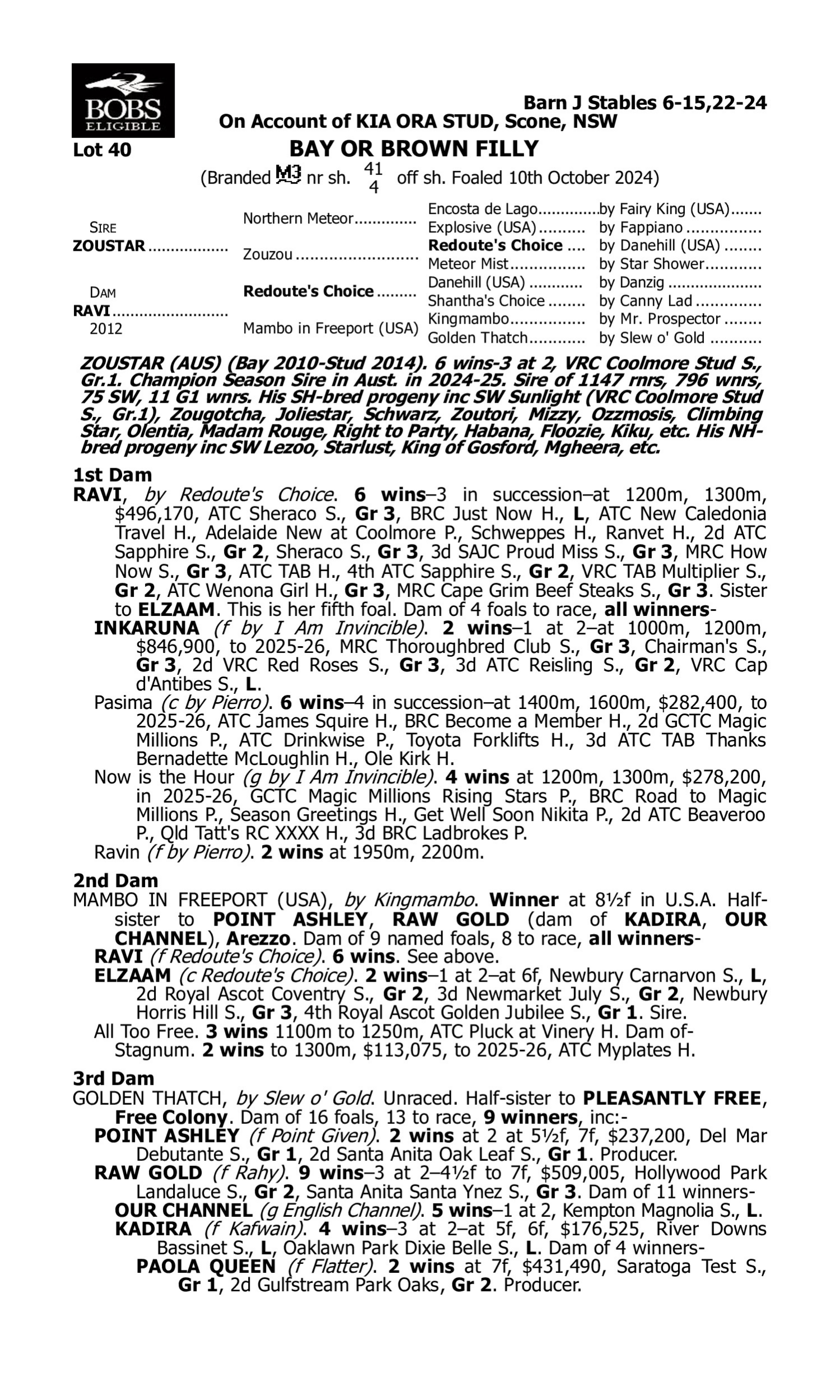 Pedigree for Lot 40 Zoustar - Ravi