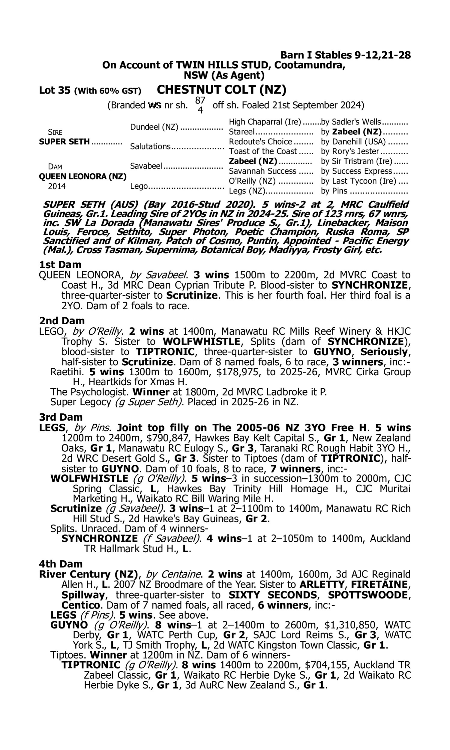 Pedigree for Lot 35 Super Seth - Queen Leonora (NZ)