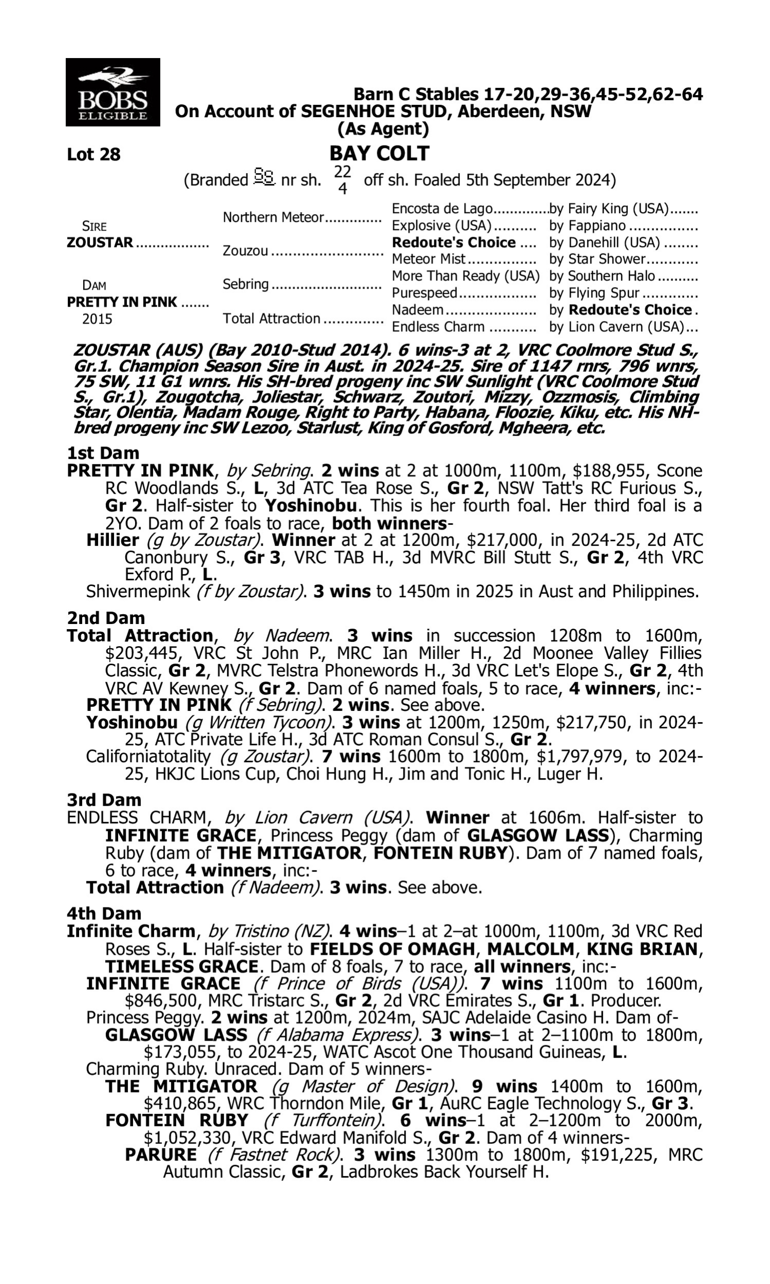 Pedigree for Lot 28 Zoustar - Pretty in Pink