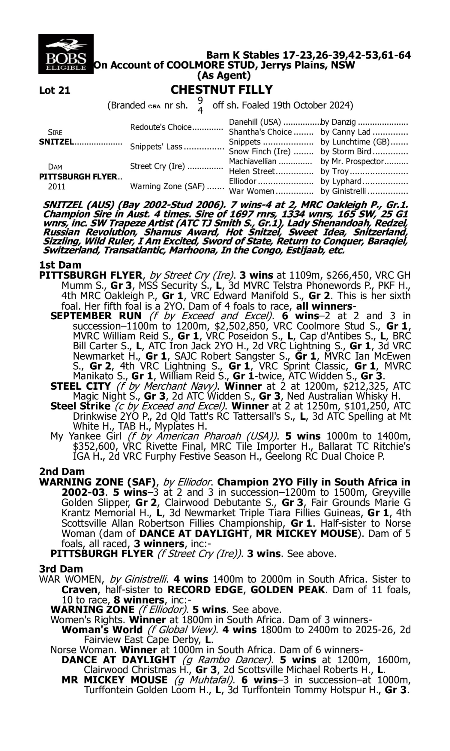 Pedigree for Lot 21 Snitzel - Pittsburgh Flyer