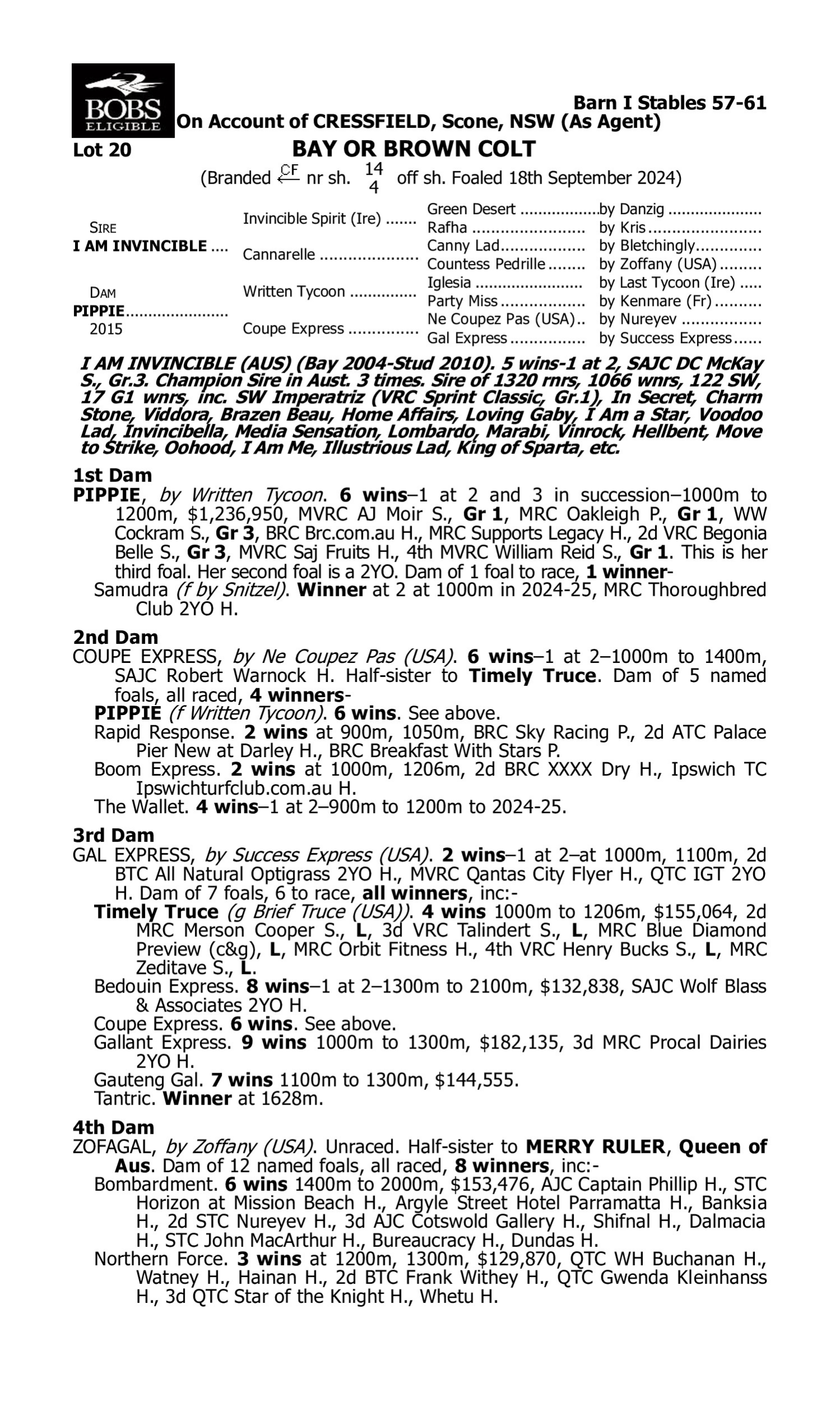 Pedigree for Lot 20 I Am Invincible - Pippie