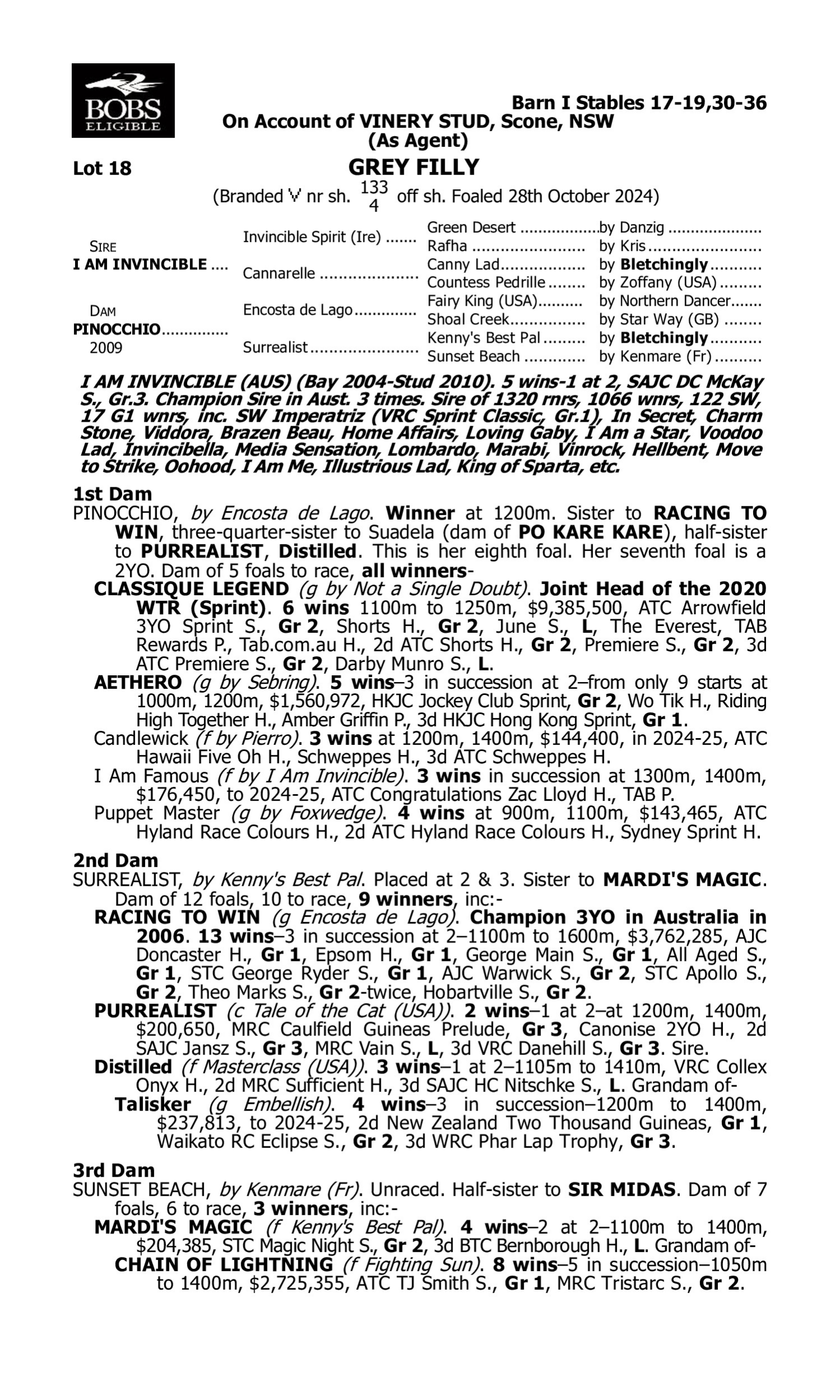 Pedigree for Lot 18 I Am Invincible - Pinocchio