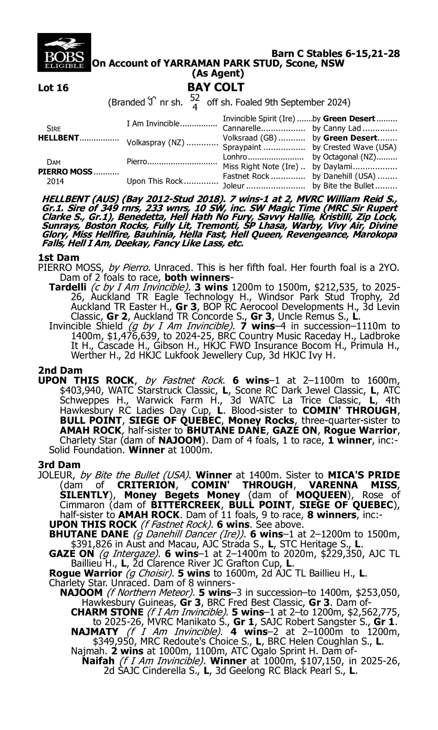 Pedigree for Lot 16 Hellbent - Pierro Moss