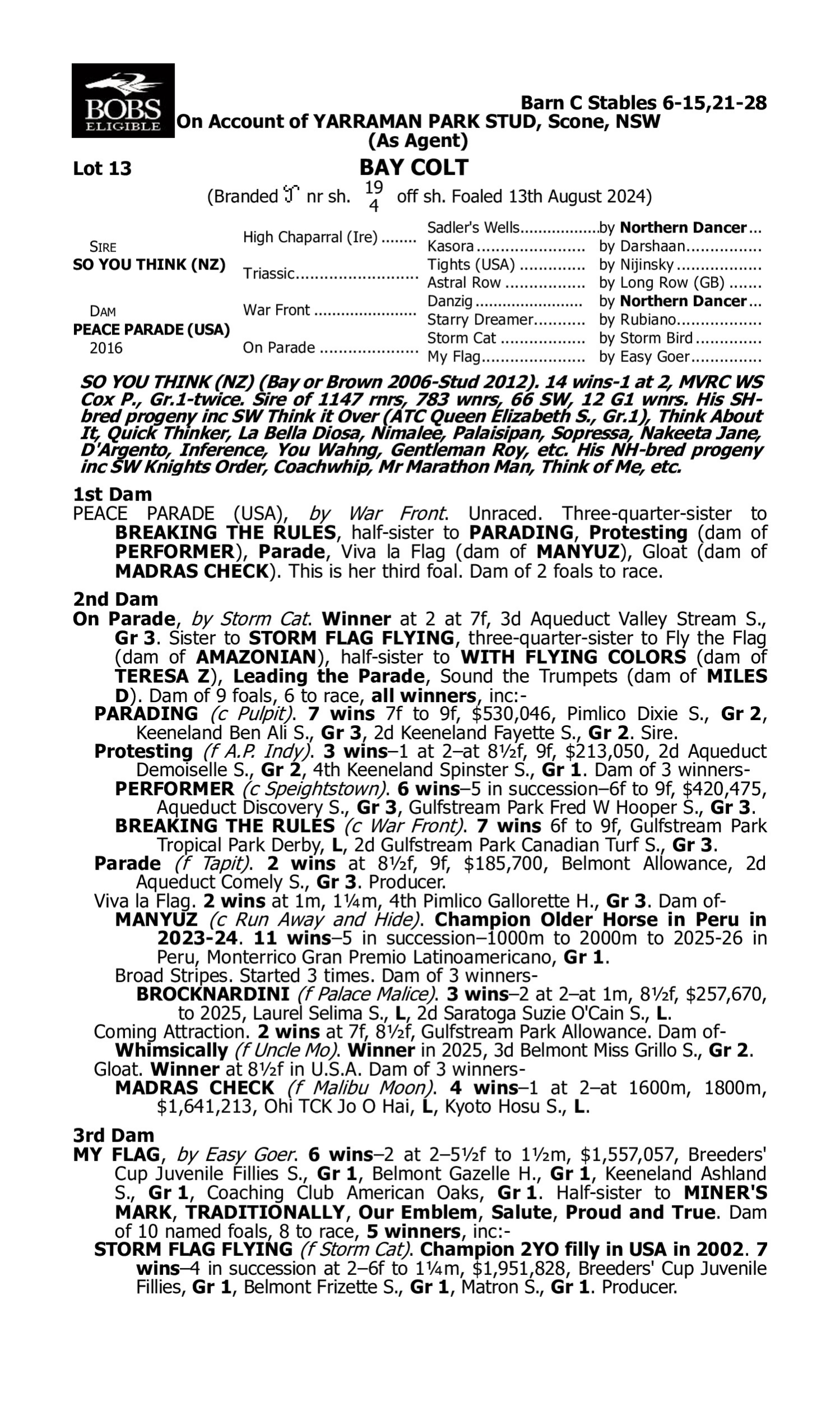 Pedigree for Lot 13 So You Think (NZ) - Peace Parade (USA)
