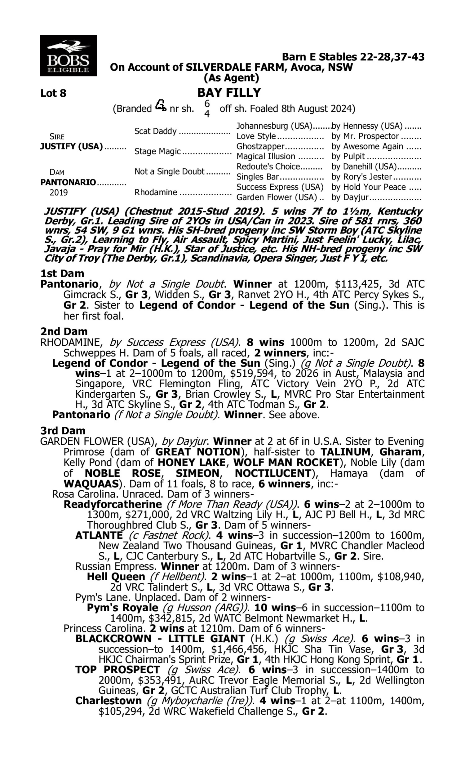 Pedigree for Lot 8 Justify (USA) - Pantonario