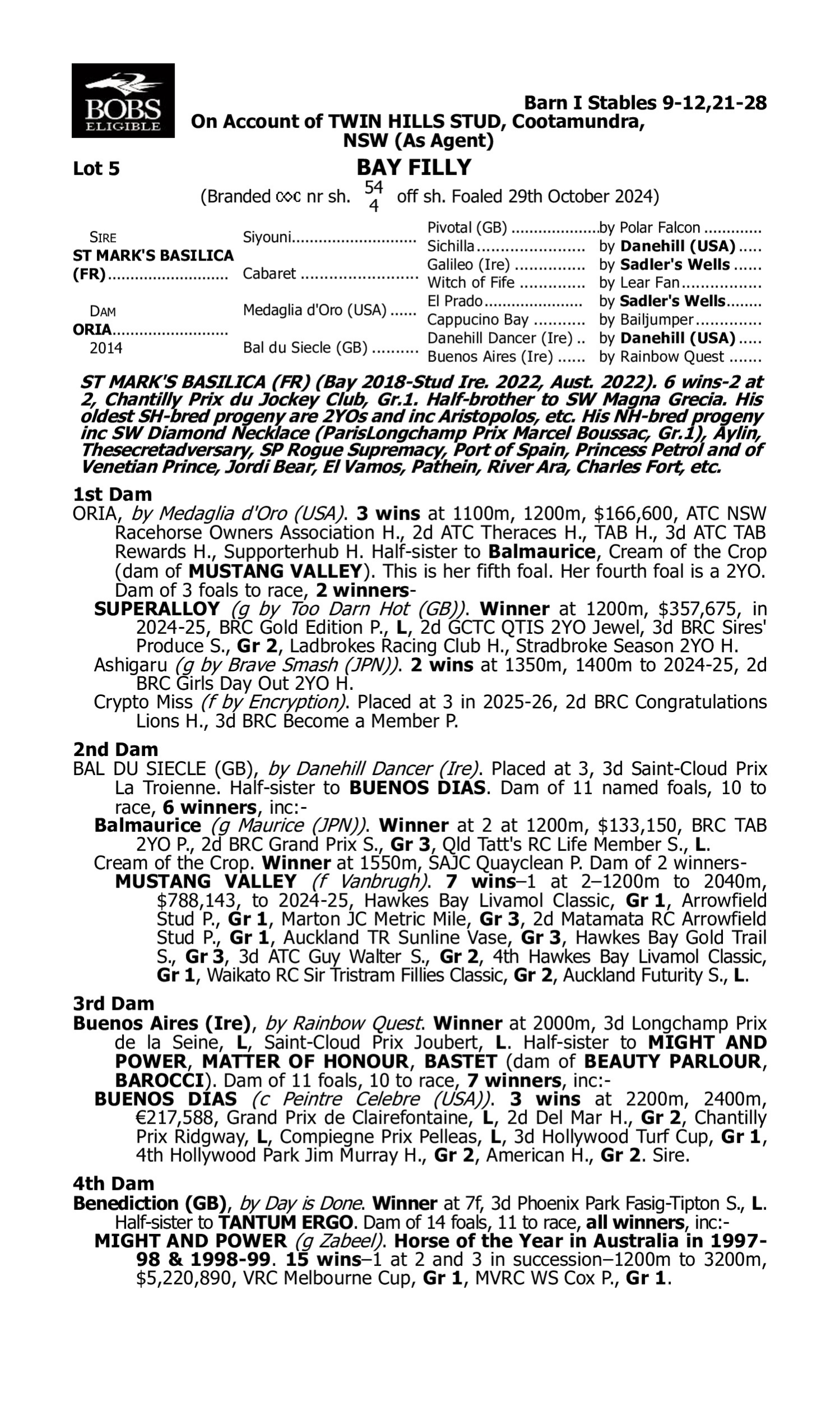 Pedigree for Lot 5 St Mark's Basilica (FR) - Oria