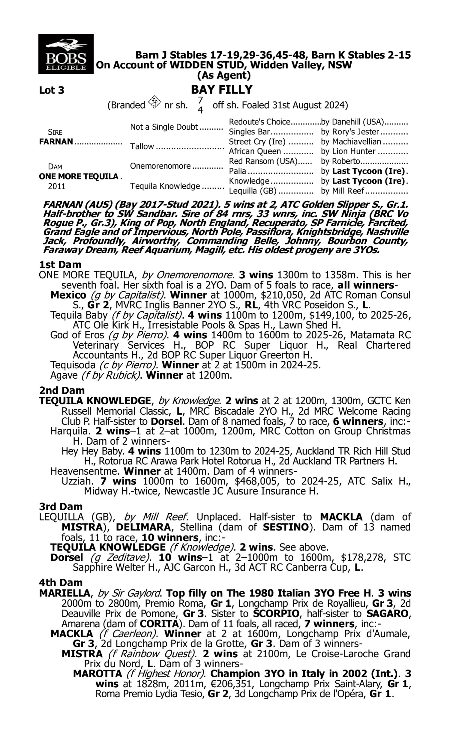 Pedigree for Lot 3 Farnan - One More Tequila