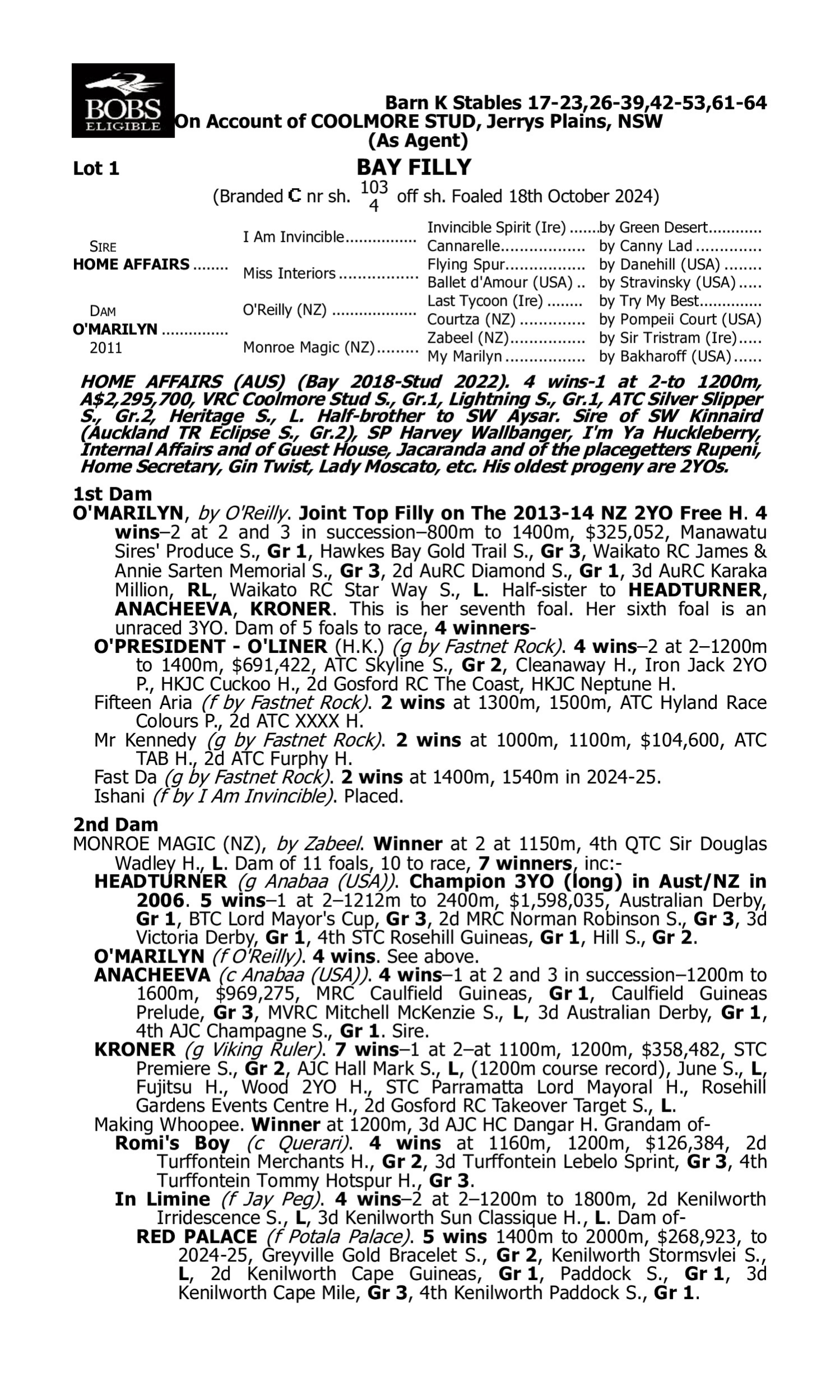 Pedigree for Lot 1 Home Affairs - O'Marilyn