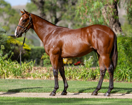 Lot 177: Exceedance / Meikas