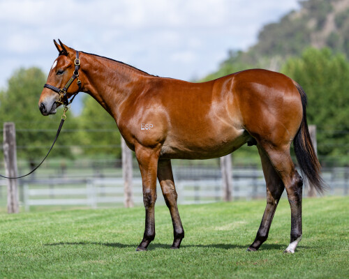 Lot 437: Star Turn / Slightly Sweet