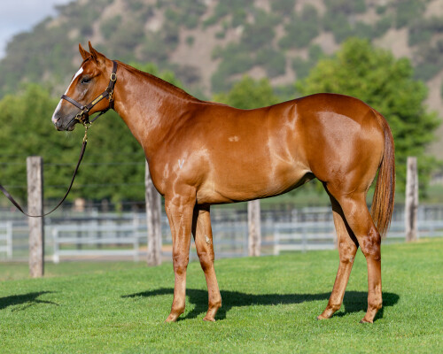 Lot 715: Ole Kirk / Chimes