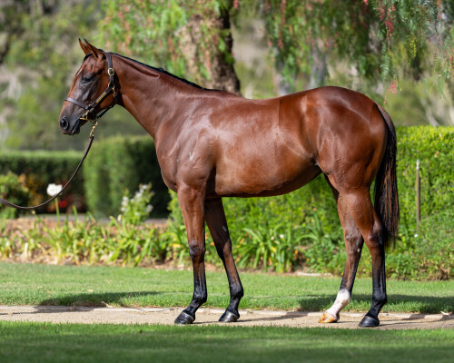 Lot 716: All Too Hard / Chocolate Kisses