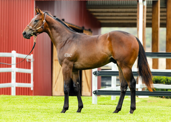 Lot 298: Stay Inside / Perfect Persuasion