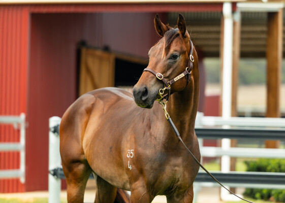 Lot 298: Stay Inside / Perfect Persuasion