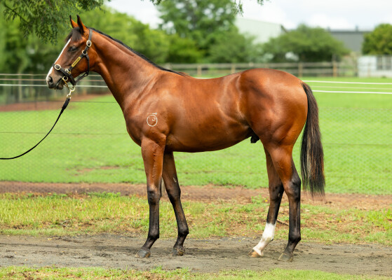 Lot 307: Cosmic Force / Pinky