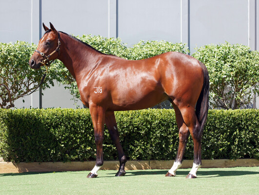 Lot 709: Daumier / Cersei