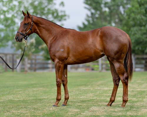 Lot 80: Capitalist / In Good Time